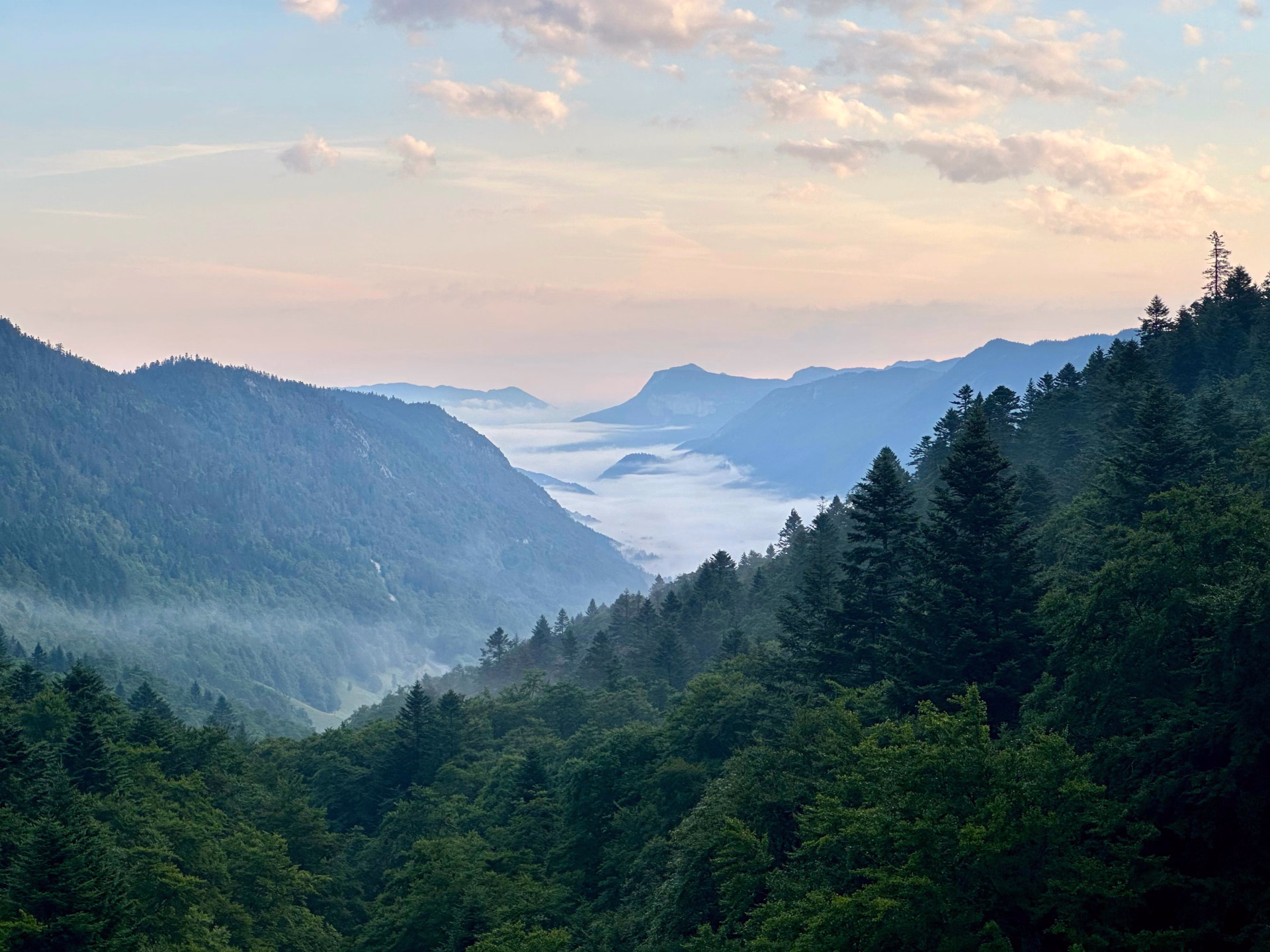 Randonnée équestre dans les Alpes