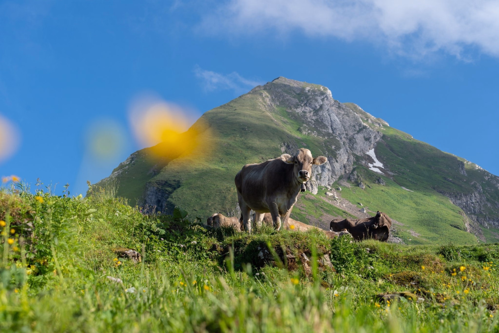 Trail en Suisse : le défi des 7 sommets du Churfirsten