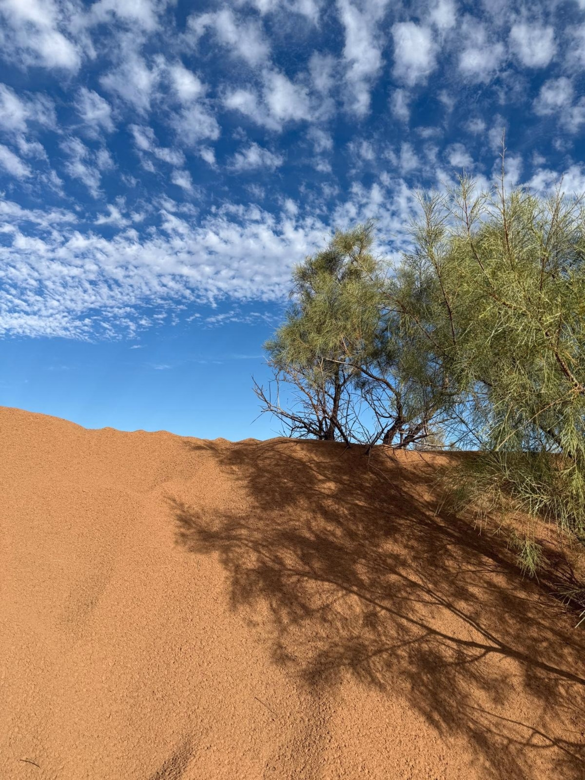 4 jours au cœur des dunes du Sahara marocain