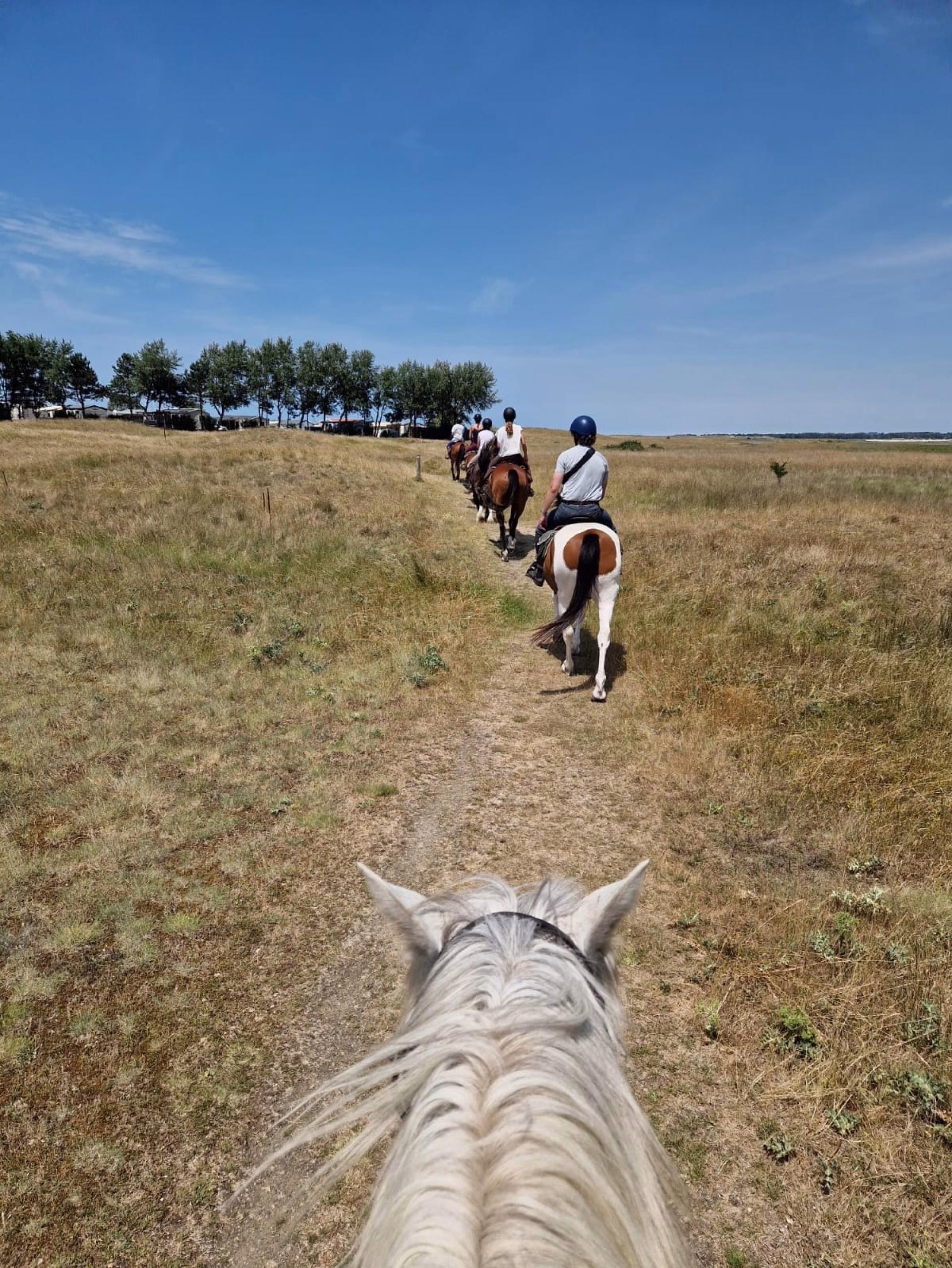 Reiten zu den Stränden von La Vanlée