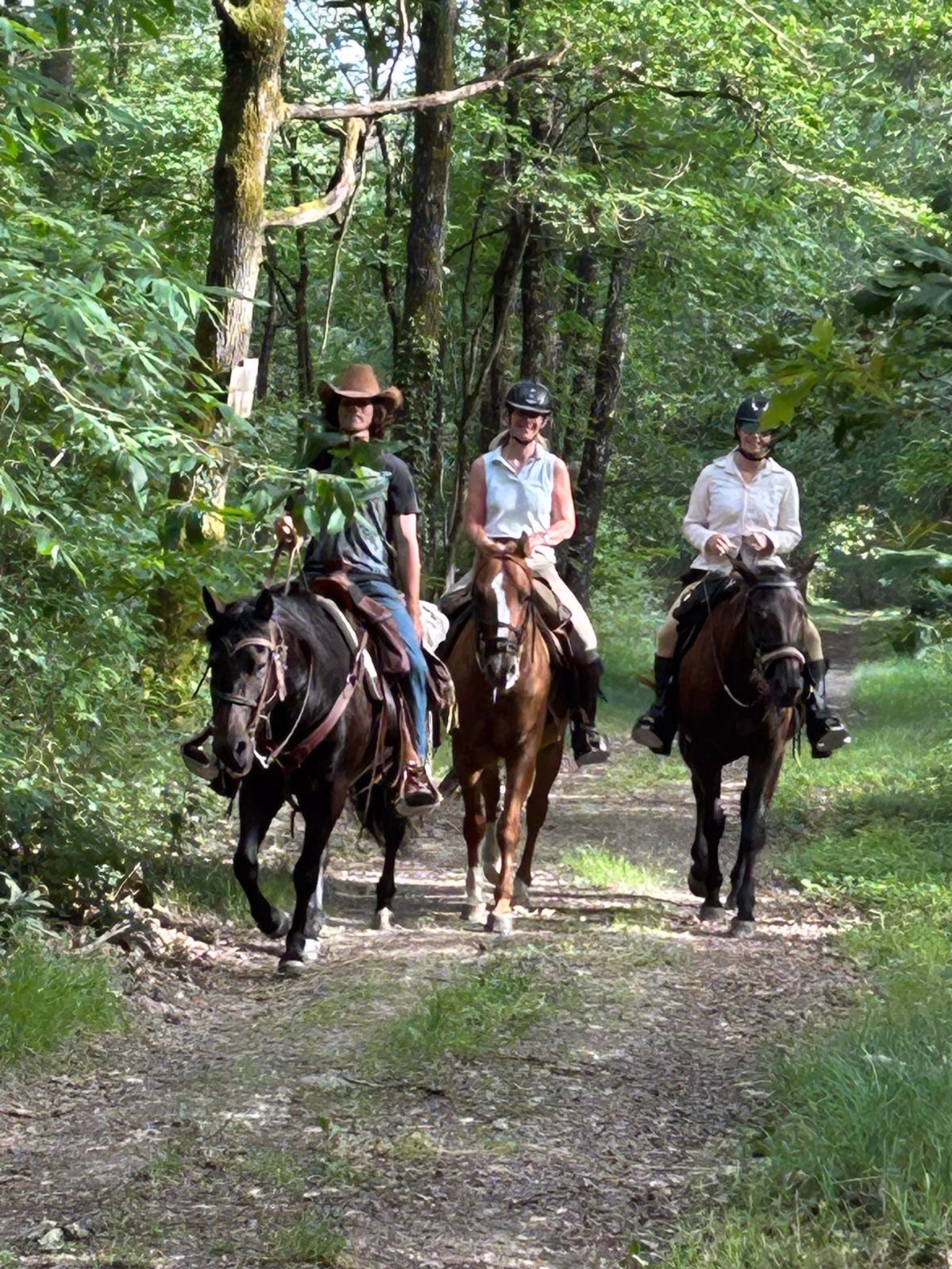 Triangle royal en Touraine