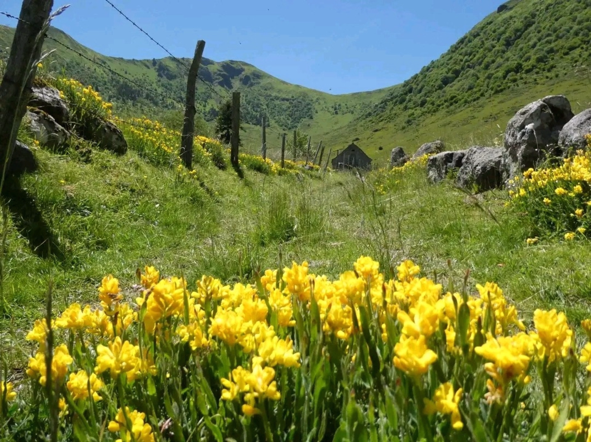 Escapades estivales au cœur du Cantal
