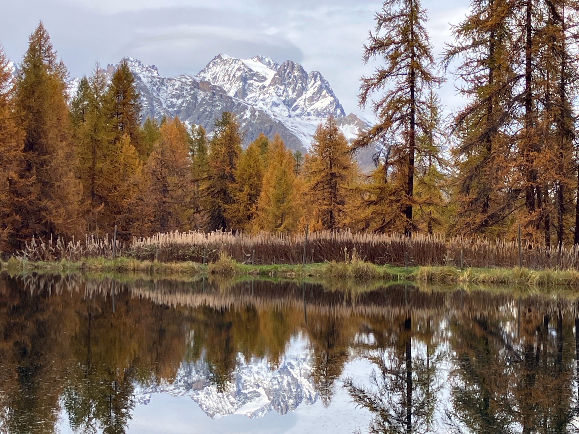Aventure photo : à la rencontre du mélèze d'or dans les Hautes-Alpes