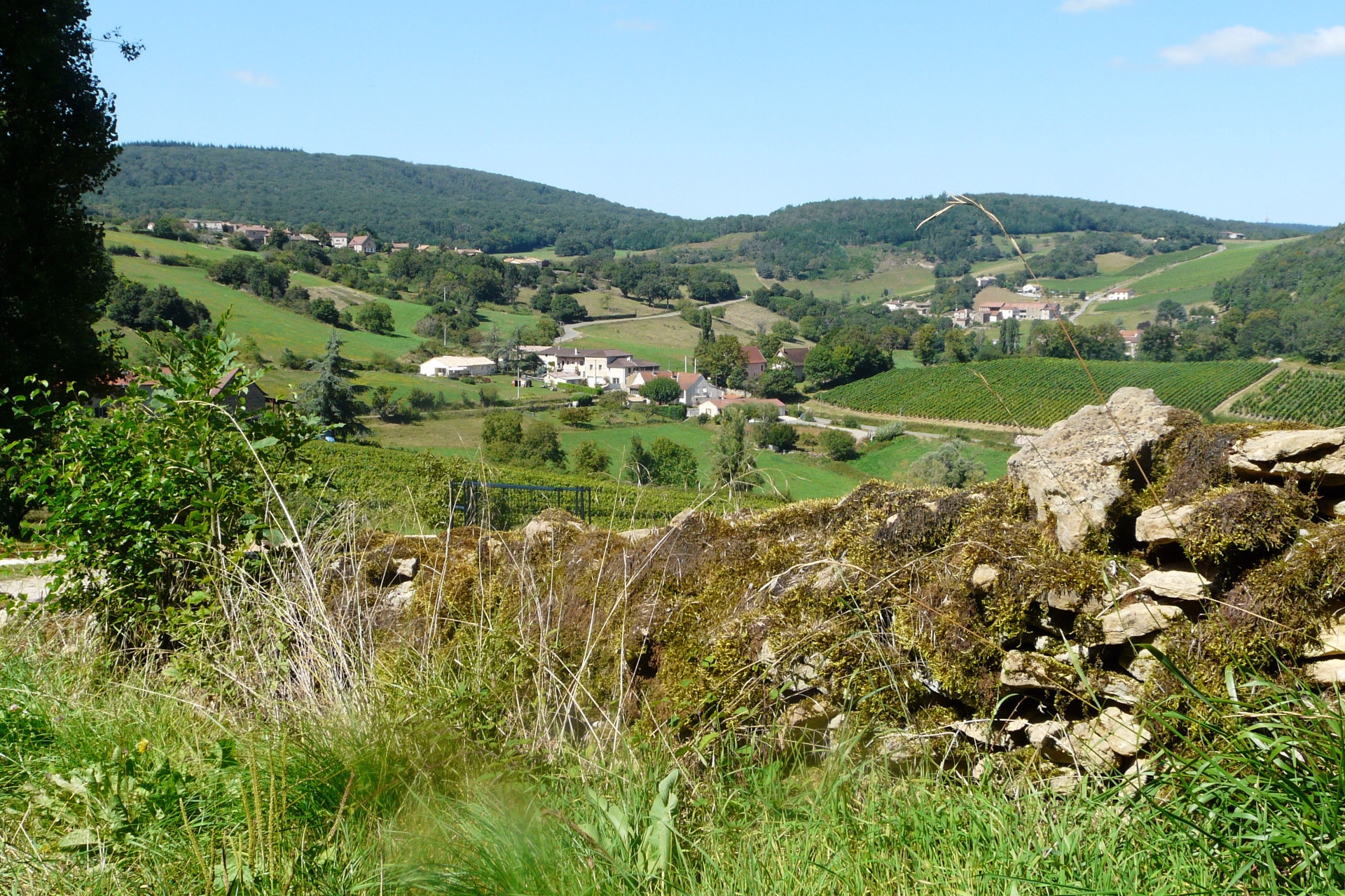 Randonnée et patrimoine en Bourgogne du sud