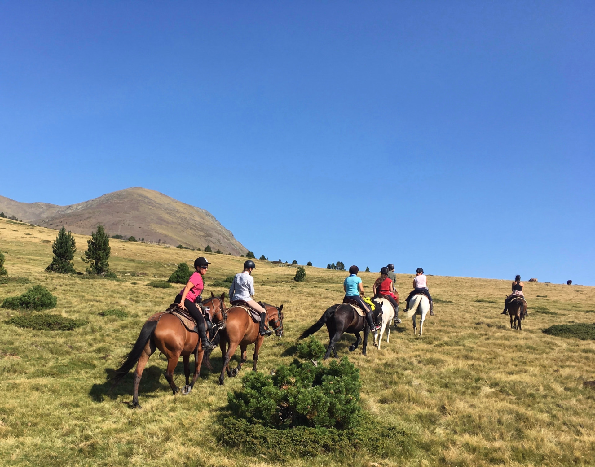 Itinérance à cheval vers Montségur dans les Pyrénées ariégeoises