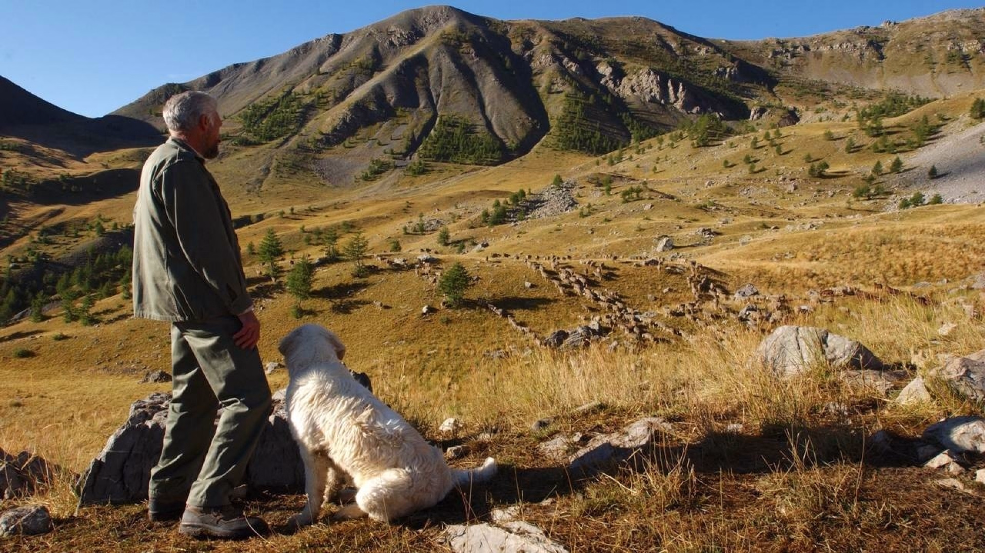 Trek et gravures dans la Vallée des Merveilles