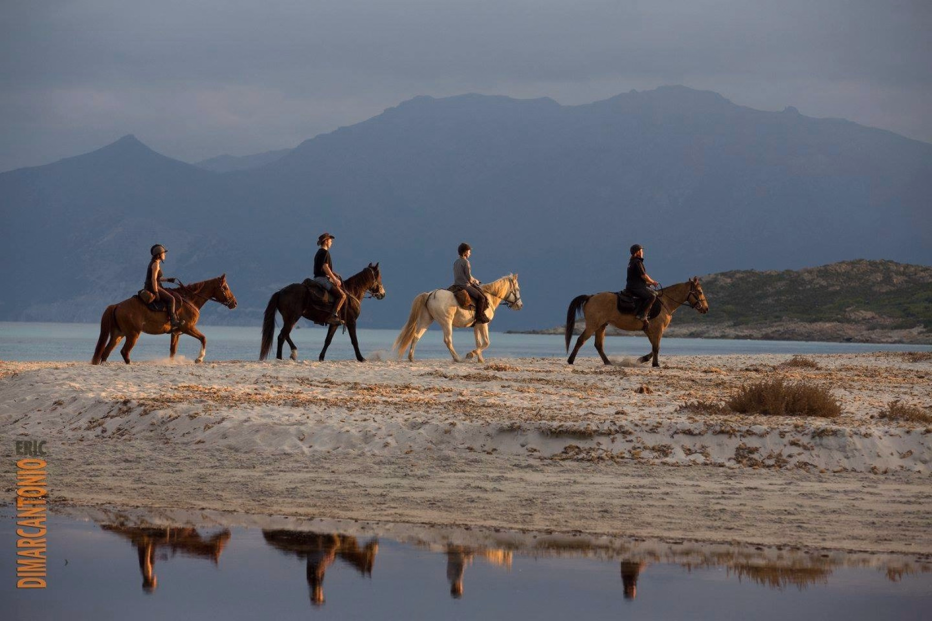 Découvrir la corse à cheval entre mer et montagne