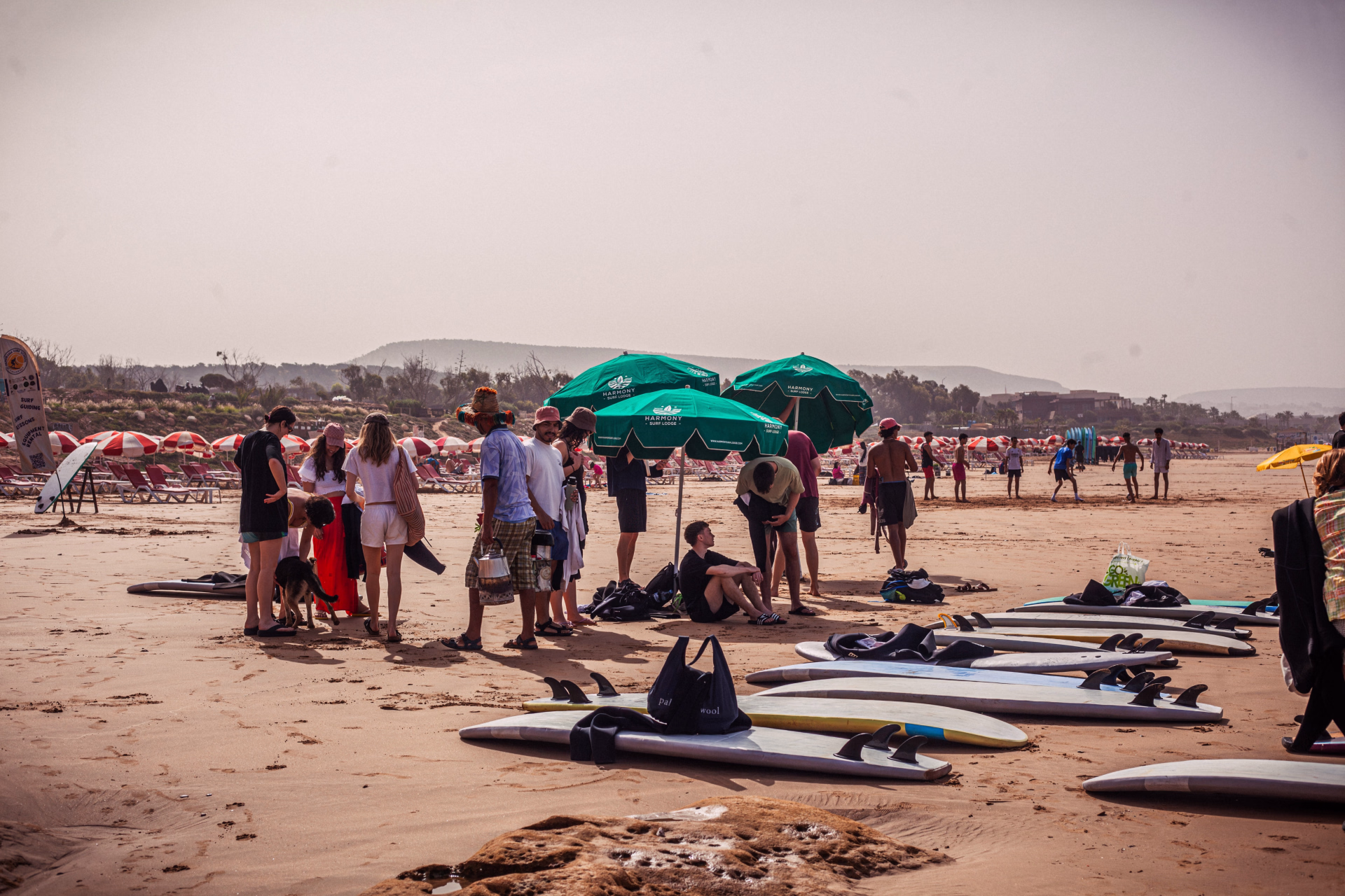 Taghazout Surf Vibes : une semaine entre vagues, soleil et partage