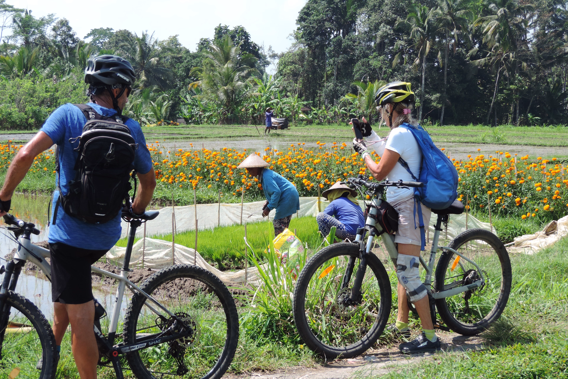 De Java à Bali en VTT ou VTT électrique : des volcans aux rizières