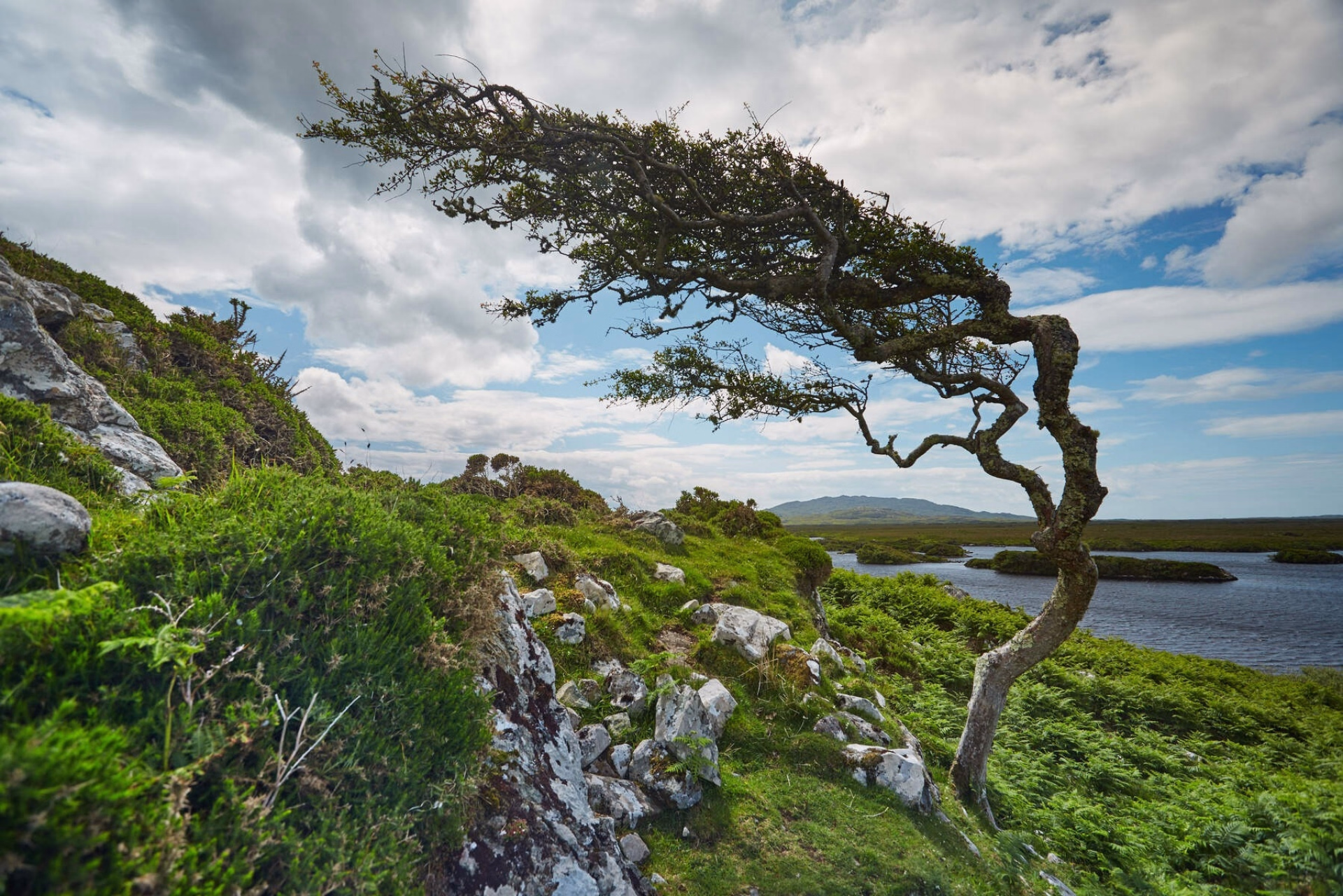 Les Incontournables du Connemara