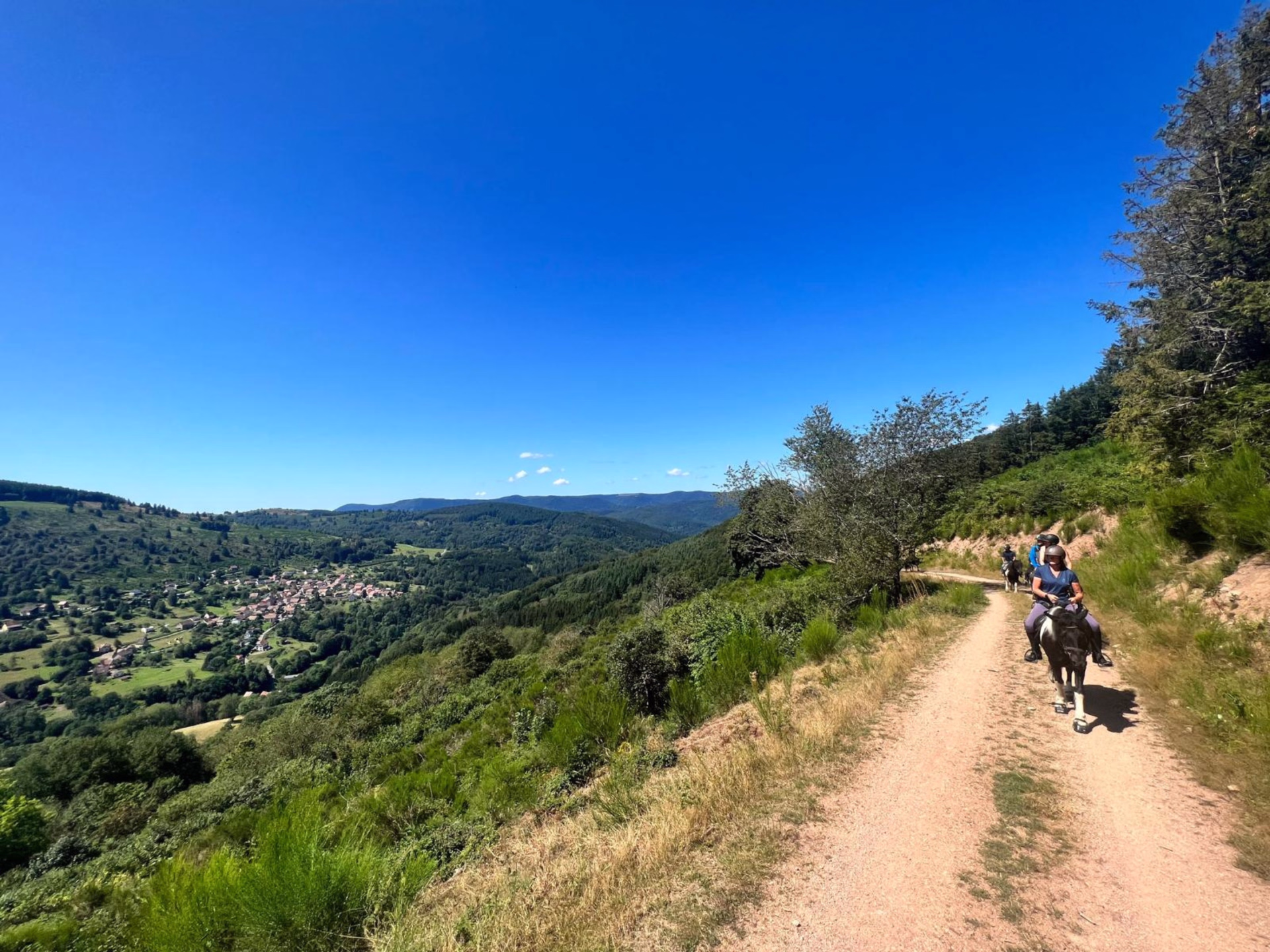 Randonnée équestre panoramique dans le massif vosgien