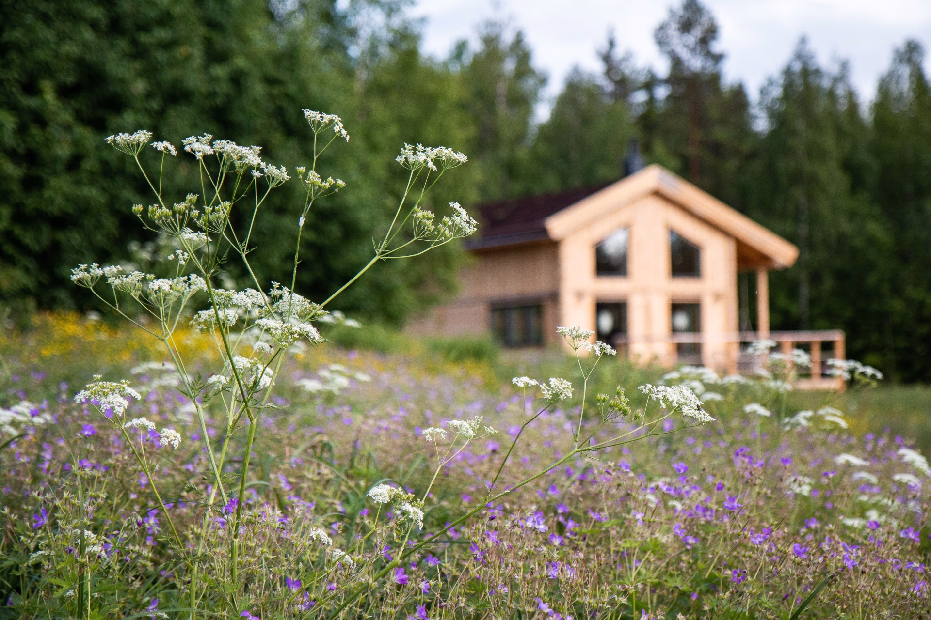 🏠 Chalet privé - Jours 1 à 6