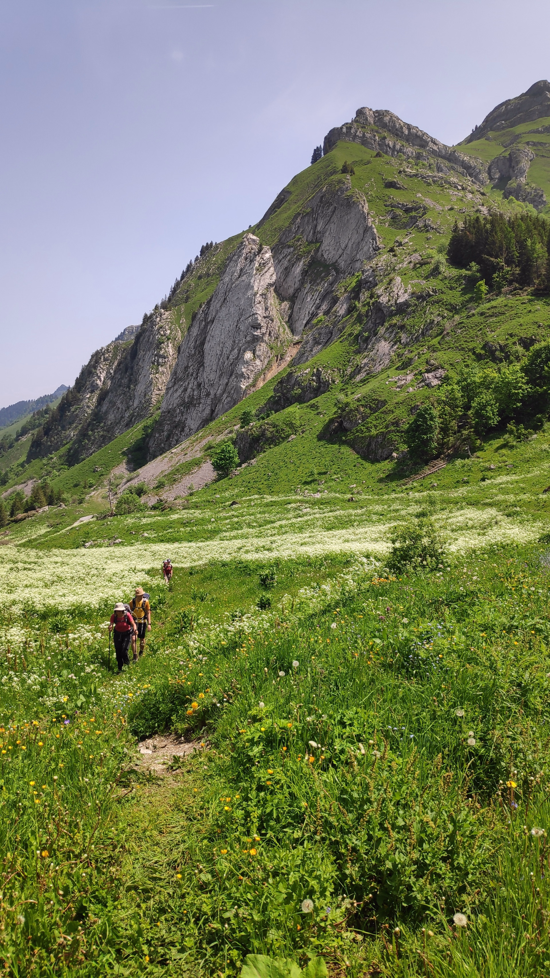 Randonnée sauvage et refuges au cœur des Bauges