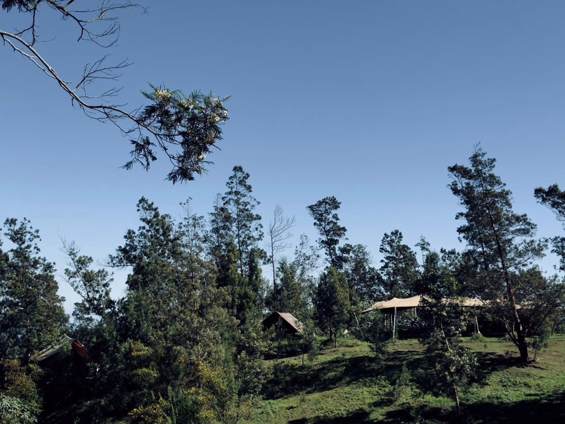 🏠 Lodge - Jours 1 à 6