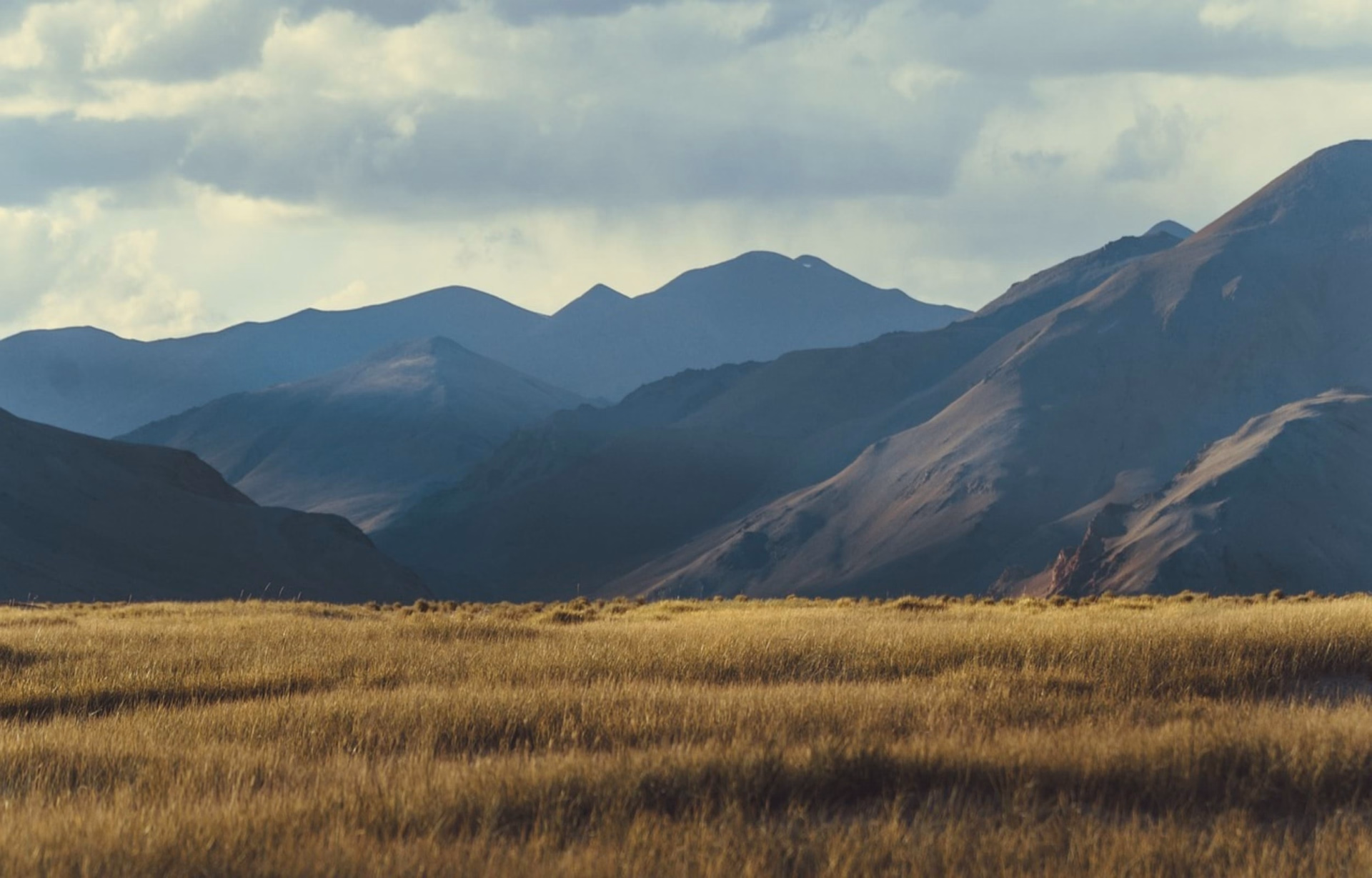 Trek sauvage au Ladakh, du Changtang au lac Tso Moriri
