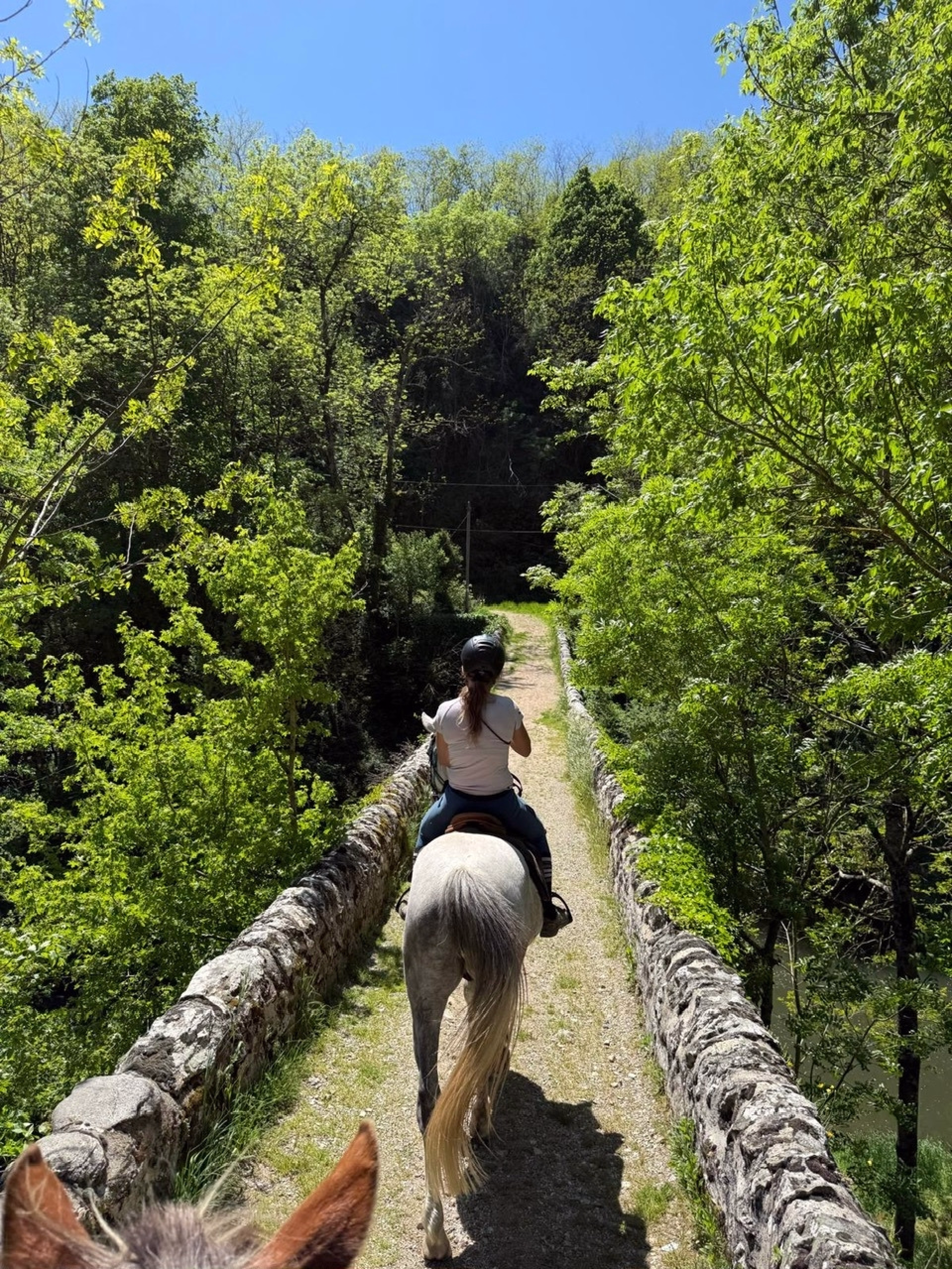 Weekend équestre insolite au coeur de l'Ardèche des châtaigniers