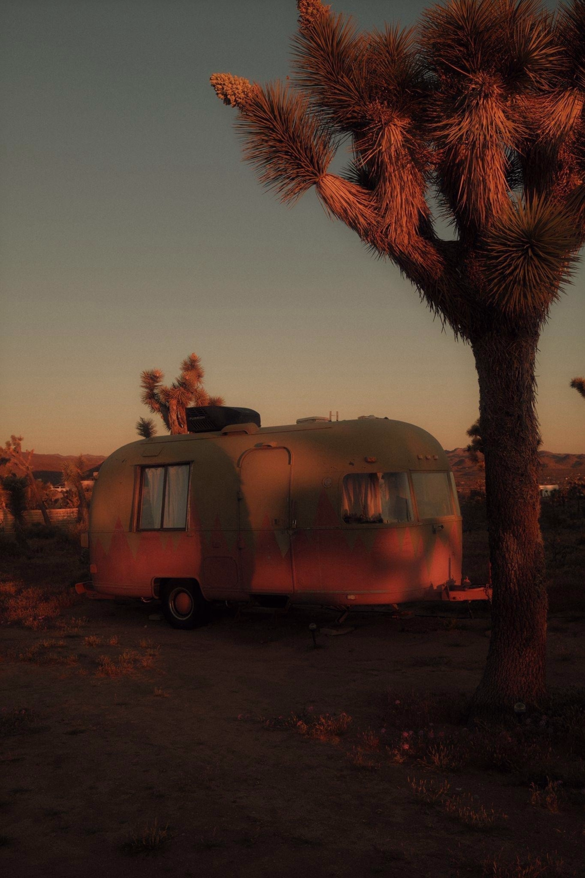 Désert sauvage — 6 jours de yoga & d'aventure à Joshua Tree