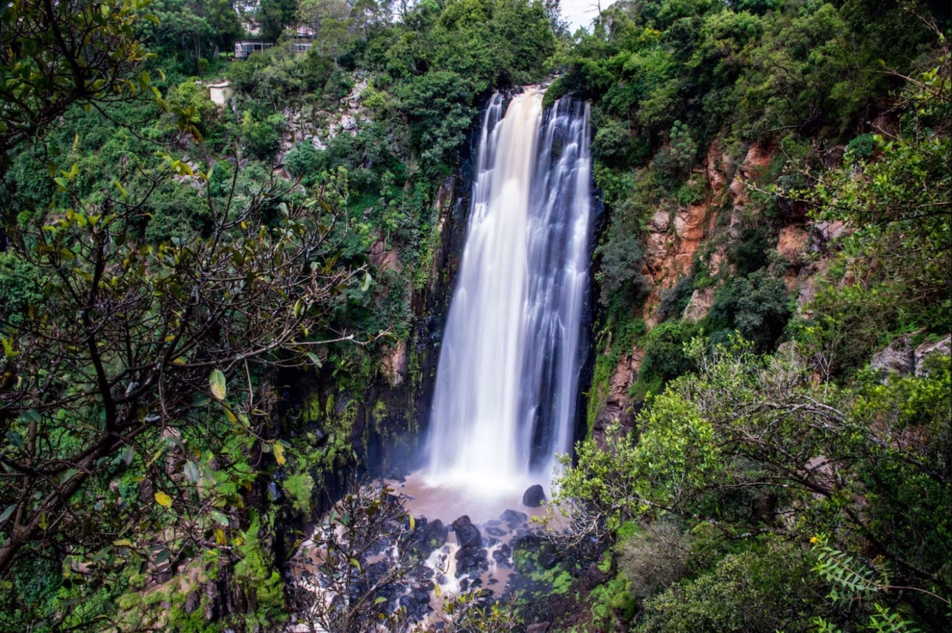 Safari de 5 jours en lodge au Kenya