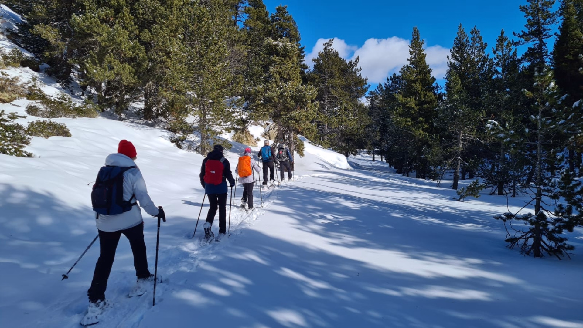 Raquettes et réveillon gourmand dans les Pyrénées Catalanes