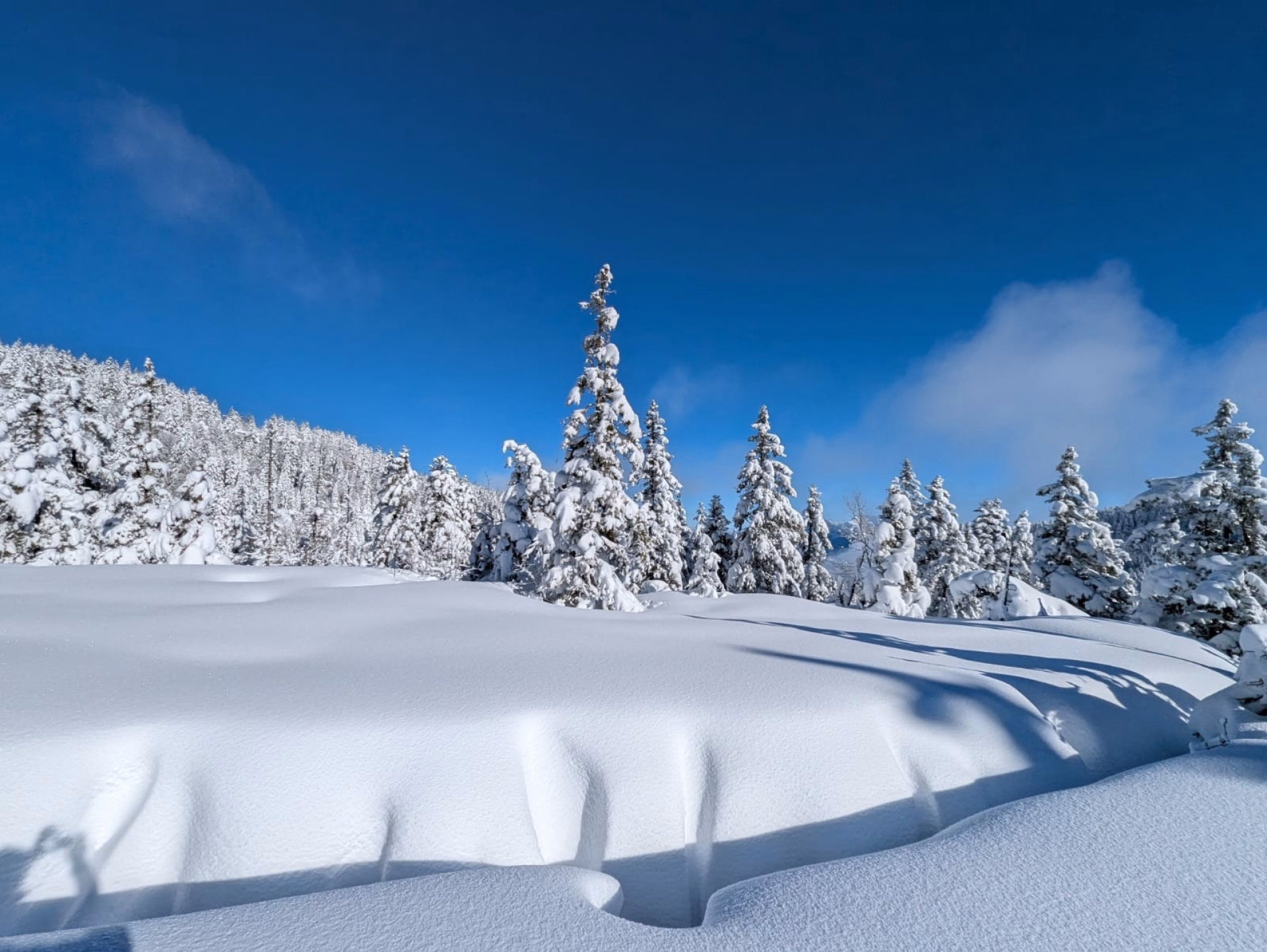 L'hiver en douceur au cœur du Vercors : raquettes & spa nordique