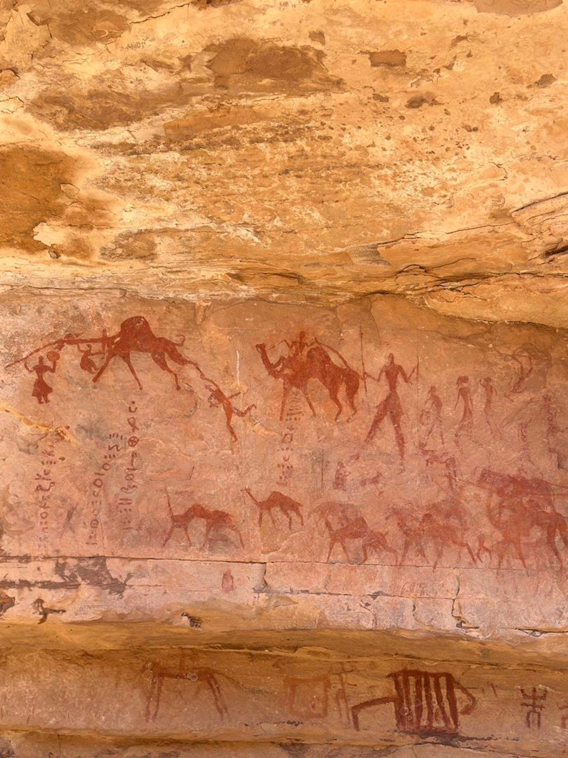 Trek saharien au plateau de Sefar à Djanet