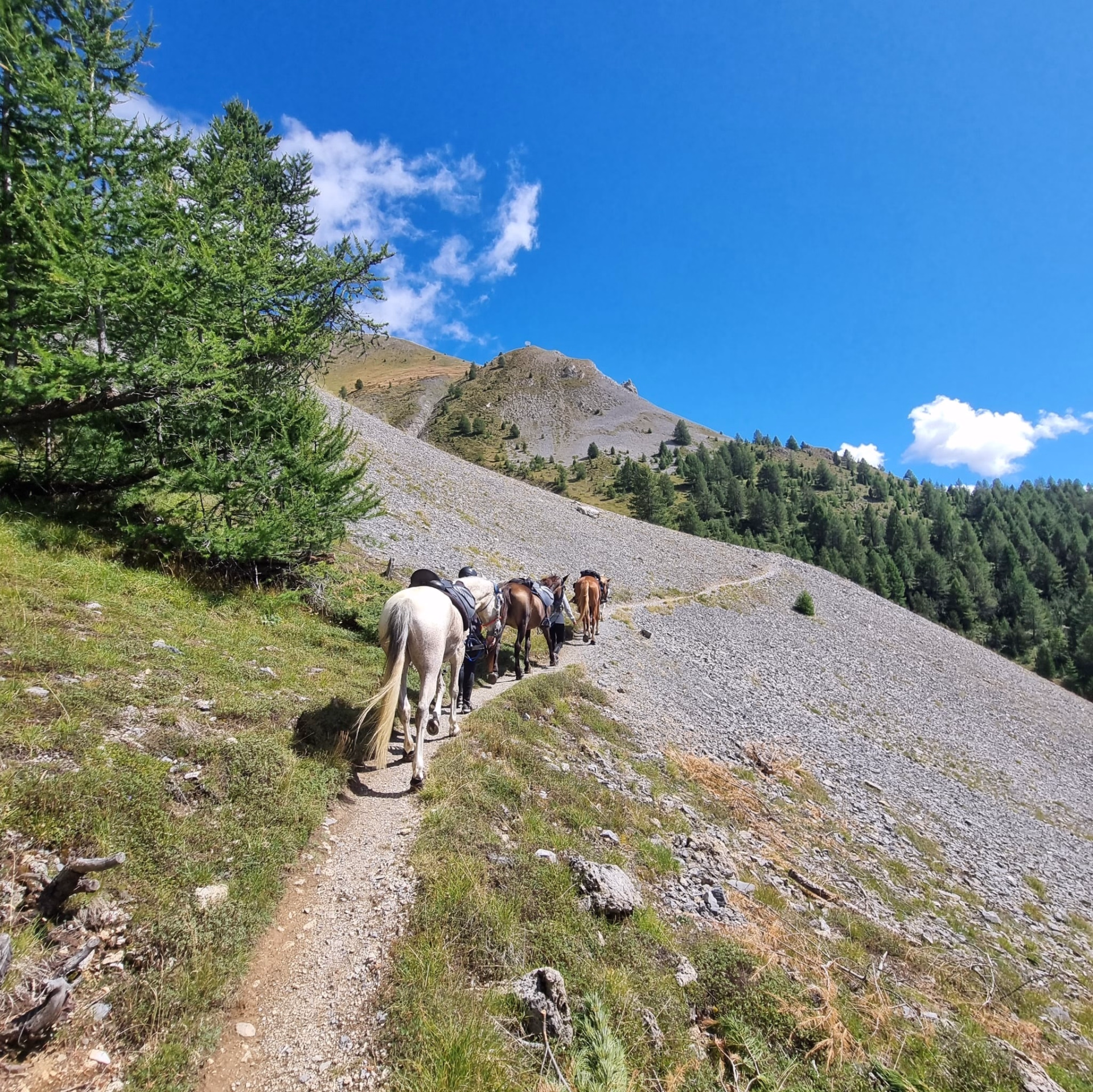 Trek des lacs et panoramas du Viso en Queyras