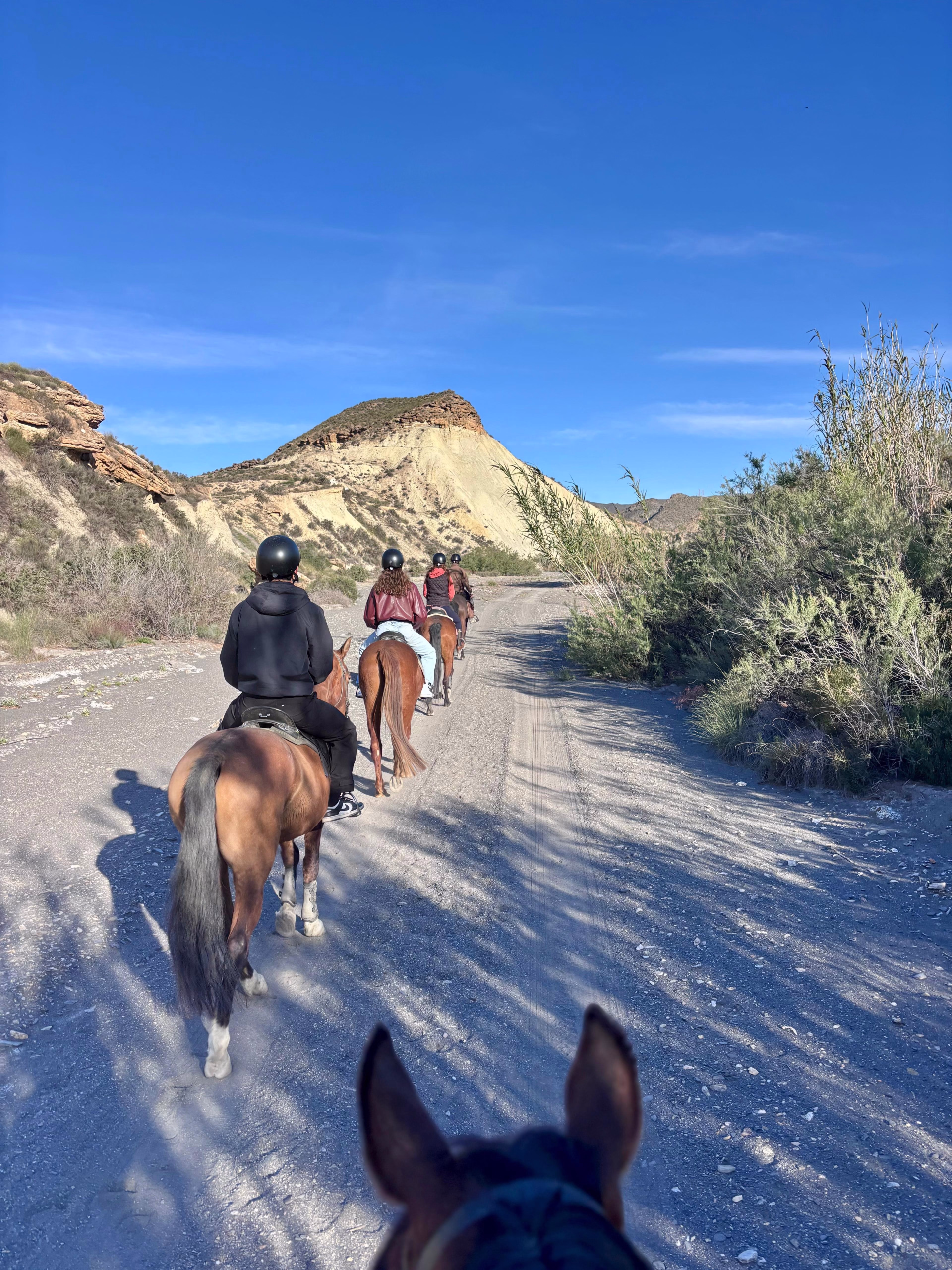 Randonnée équestre dans le désert de Tabernas