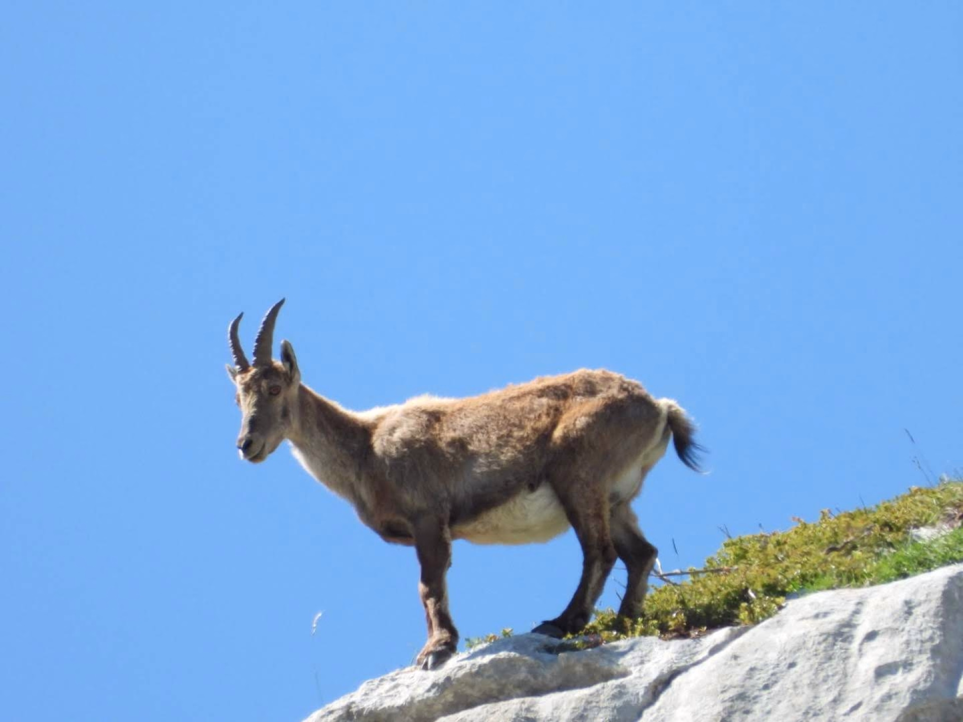Randonnée liberté au cœur du Vercors drômois