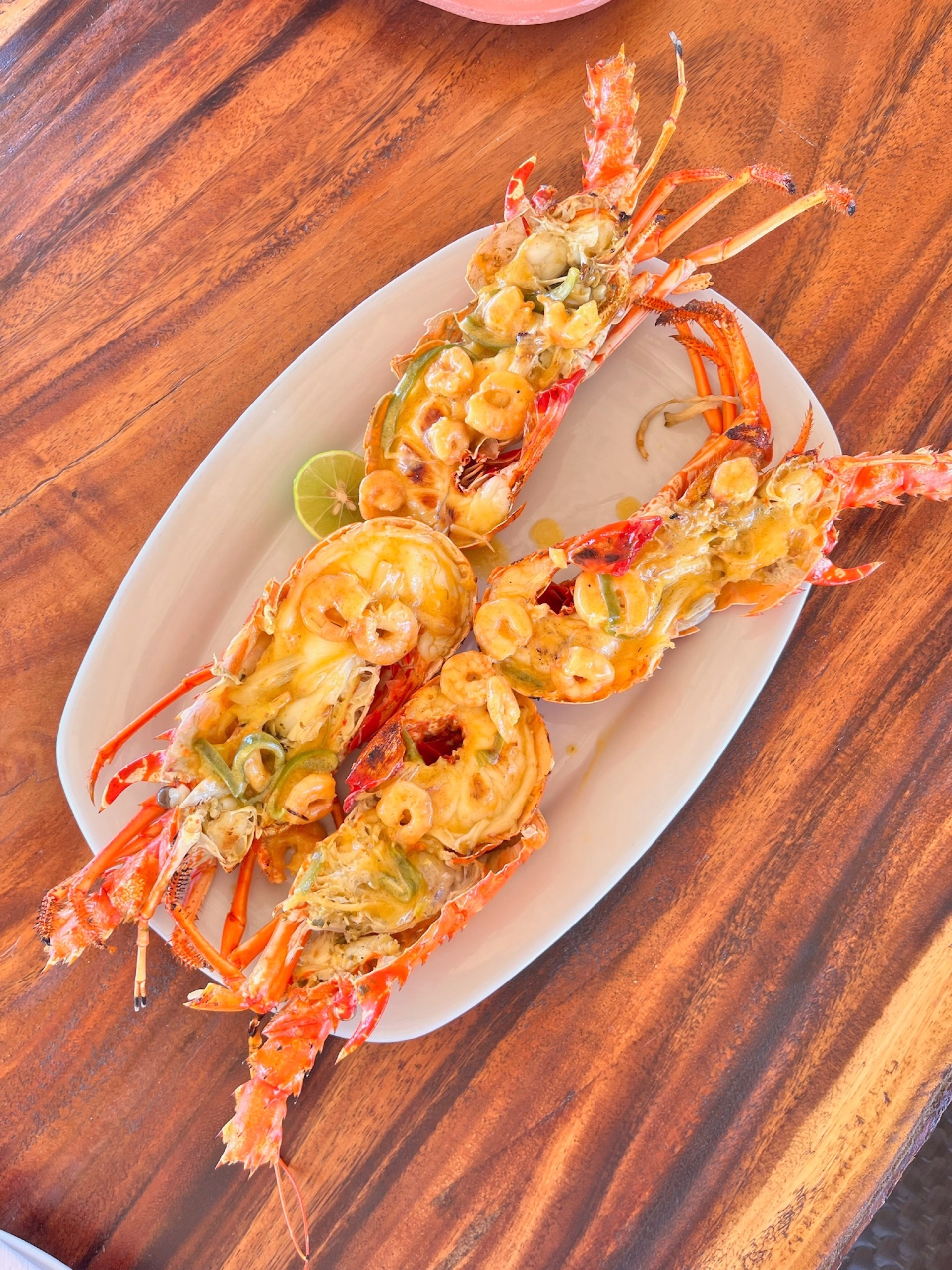 Kitesurf sauvage entre désert et Caraïbes en Colombie