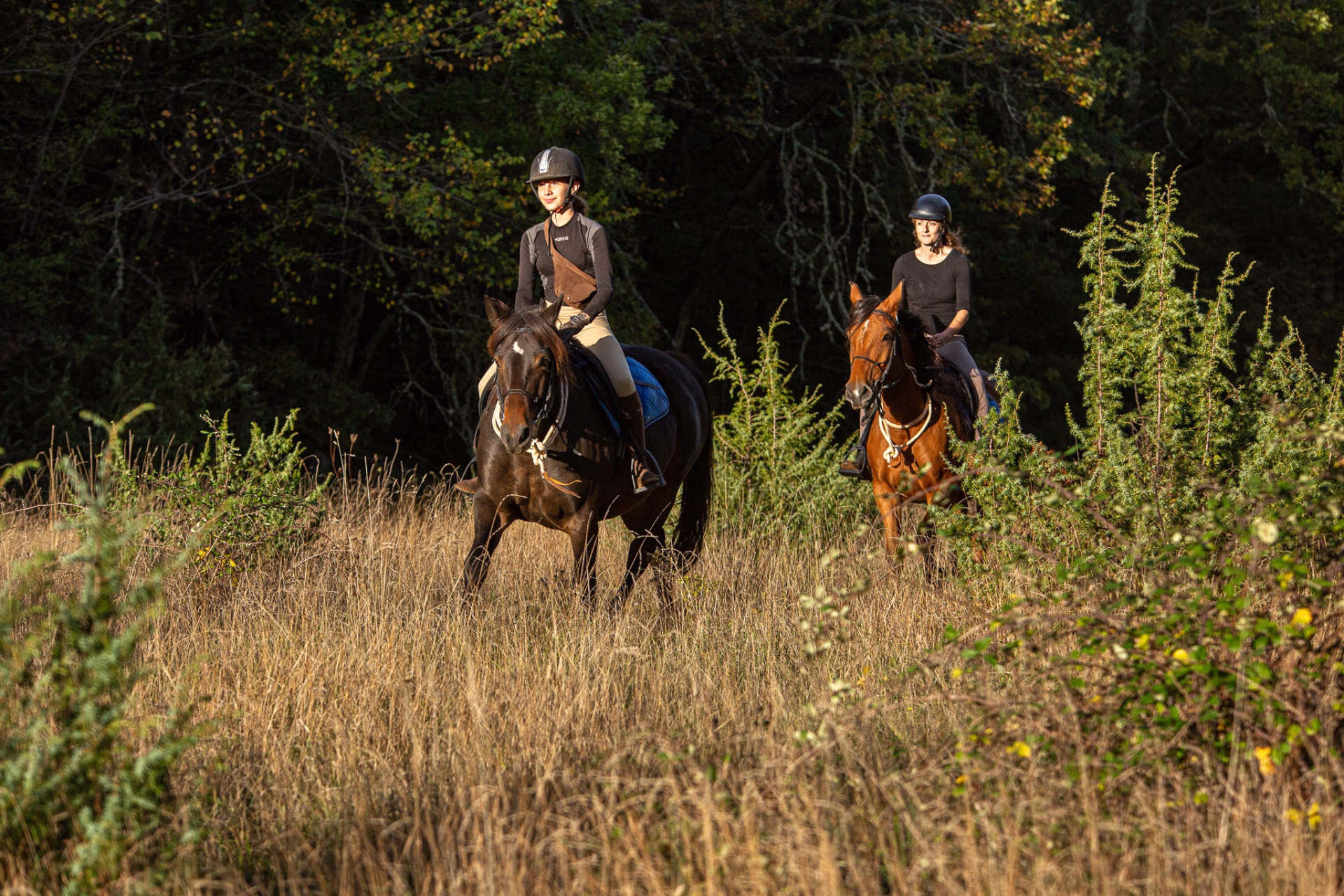 Escapade cheval & détente en vallée du Célé dans le Lot