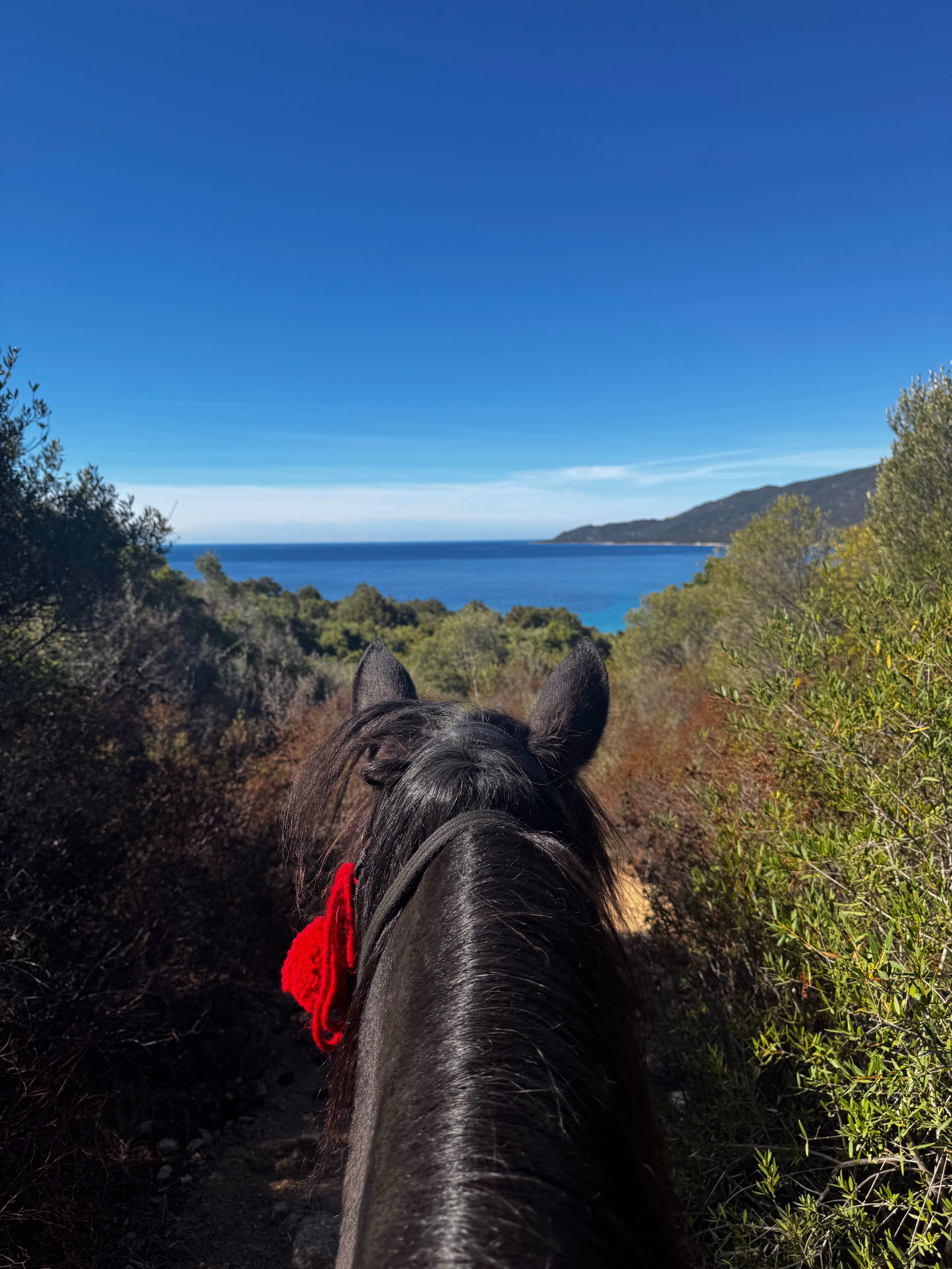 Randonnée équestre sur les chemins de transhumance en Corse