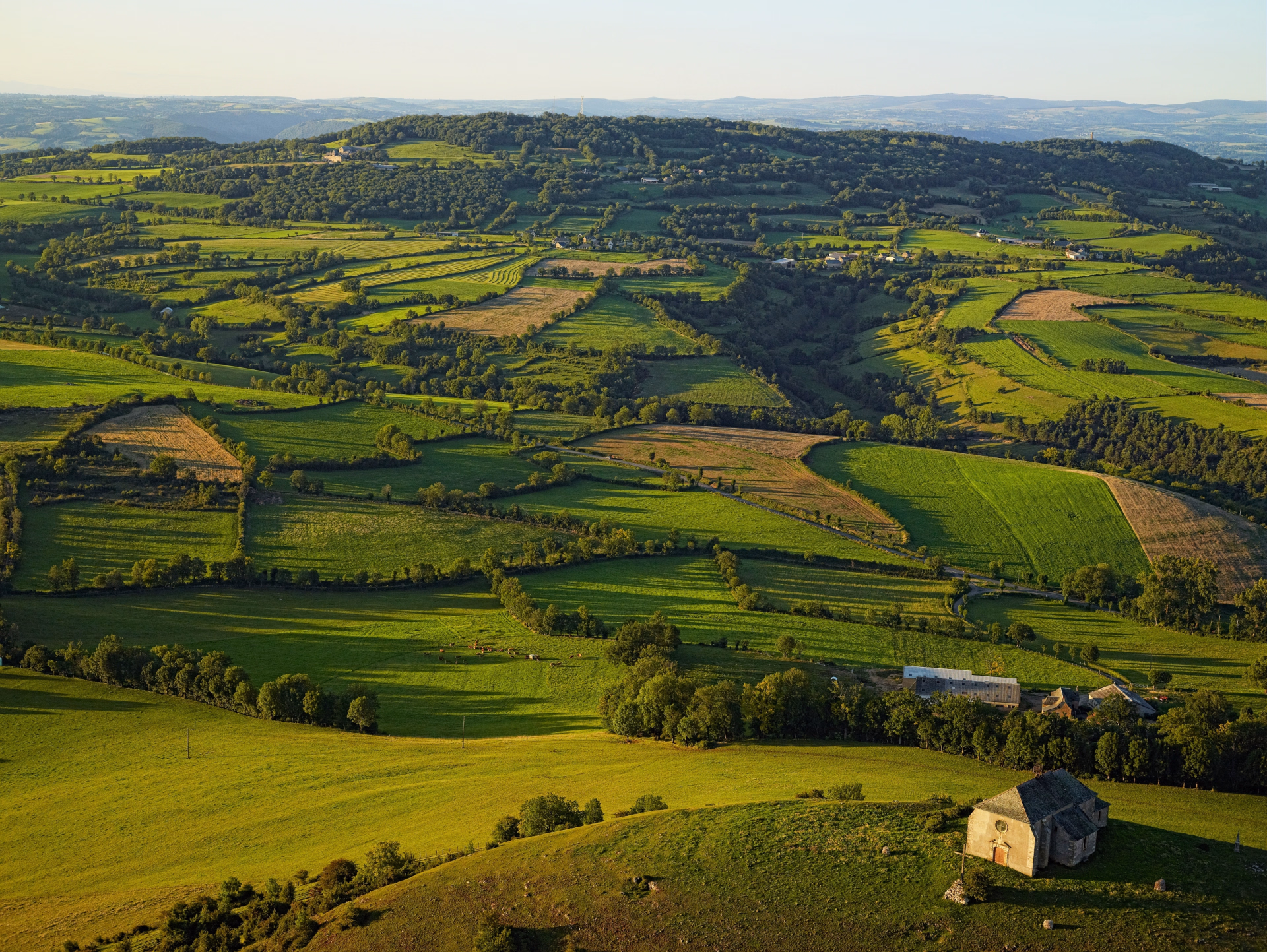 Vachement randonnée au coeur de l'Aubrac