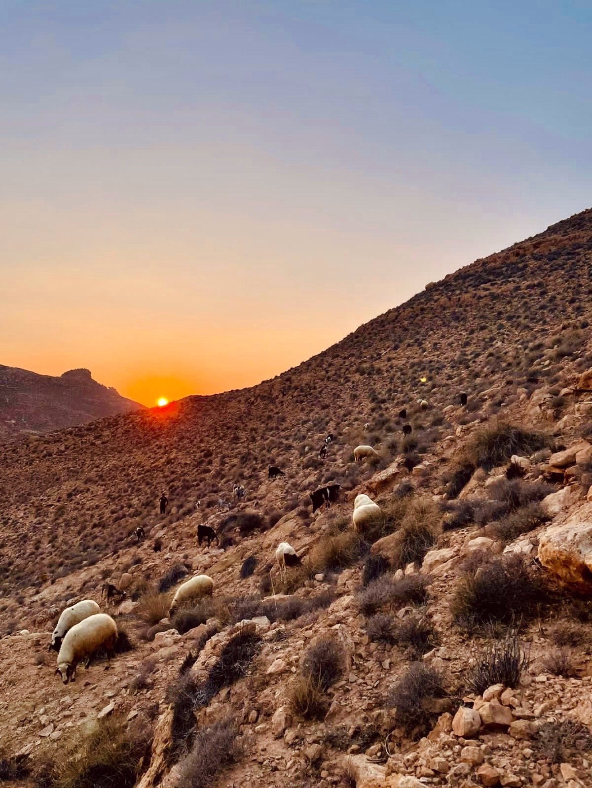 Trek & Yoga dans le Dahar Tunisien