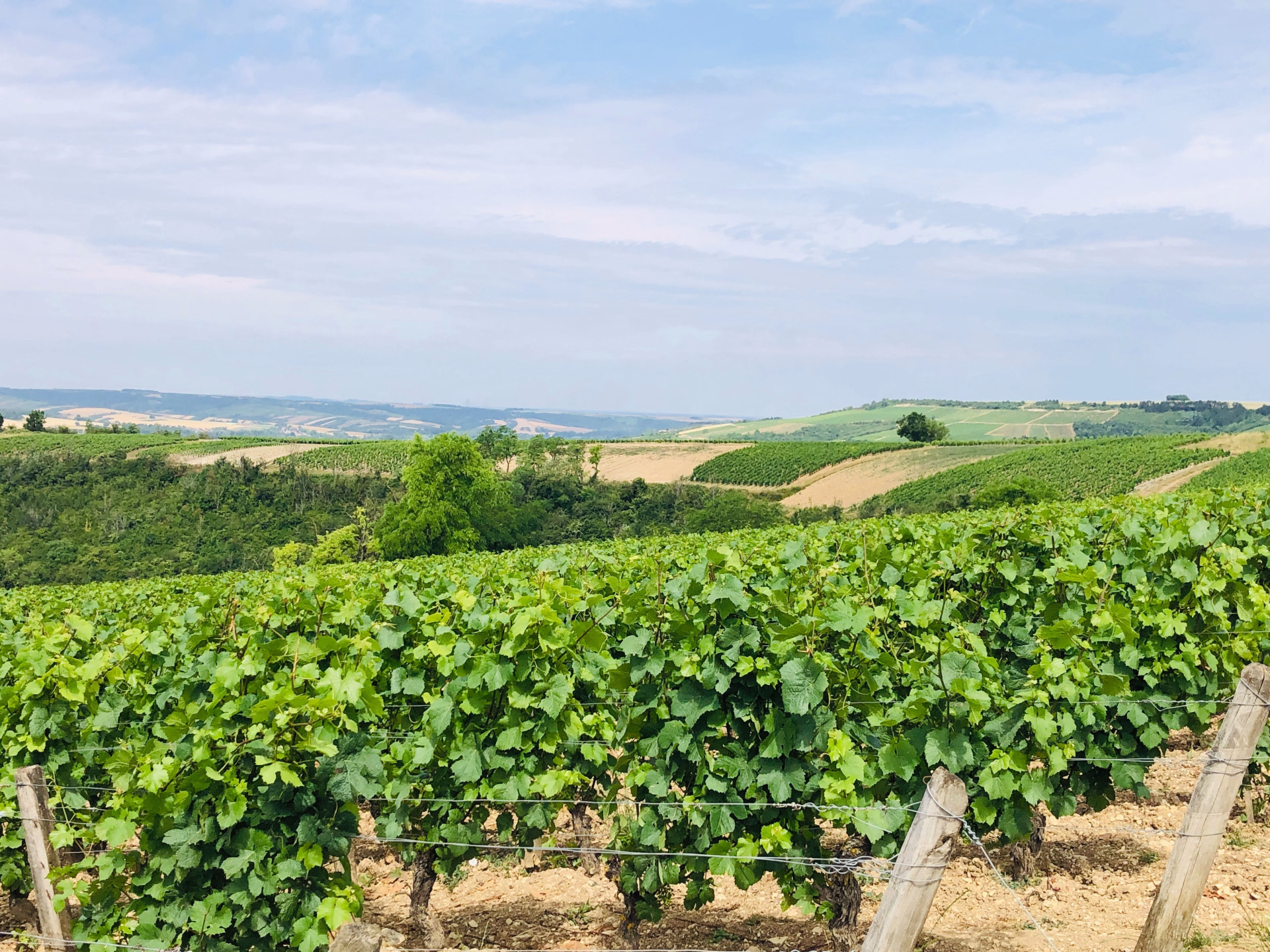 Au cœur de la Bourgogne historique à vélo électrique