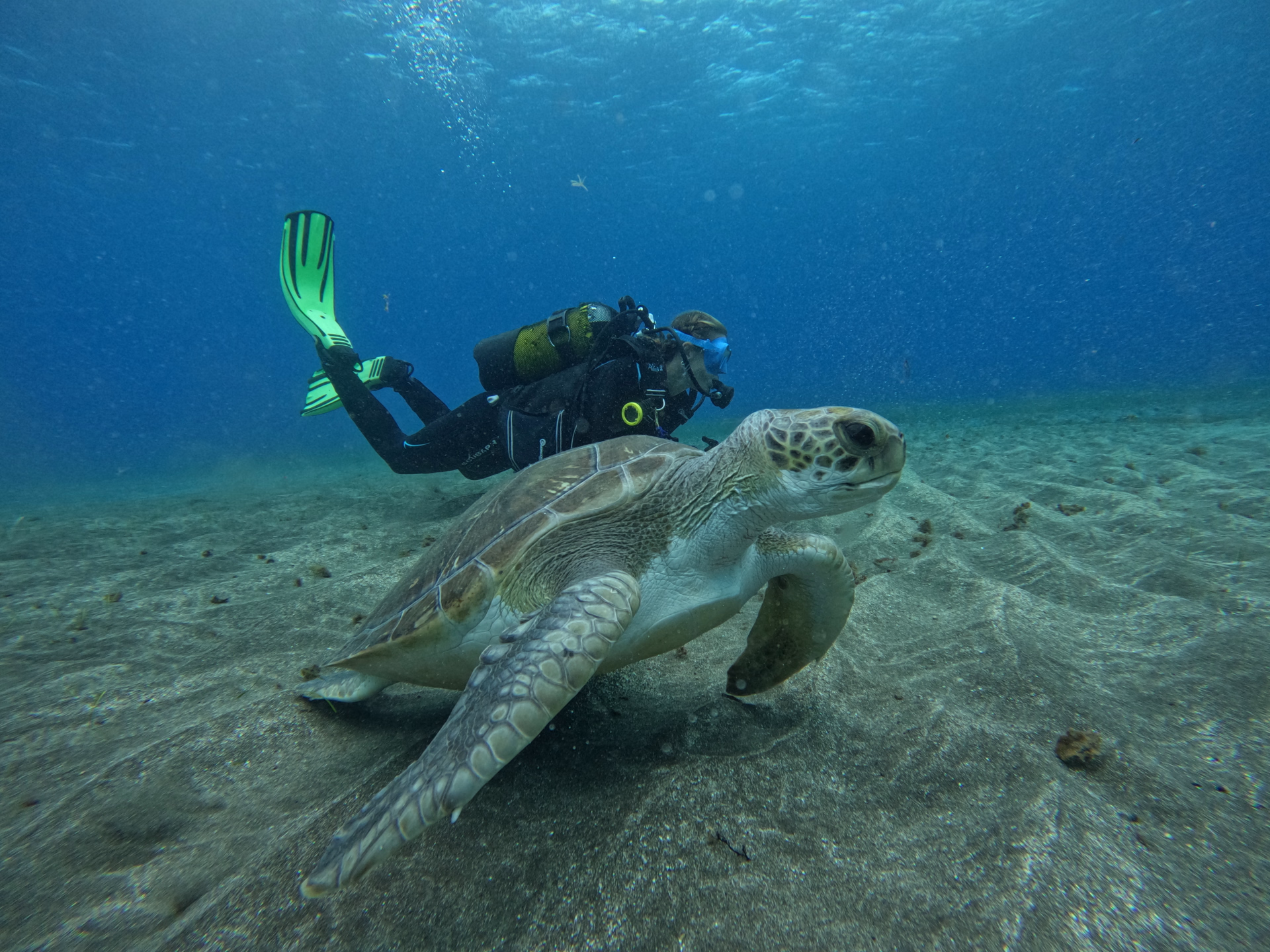 Première aventure sous-marine en famille à Tenerife