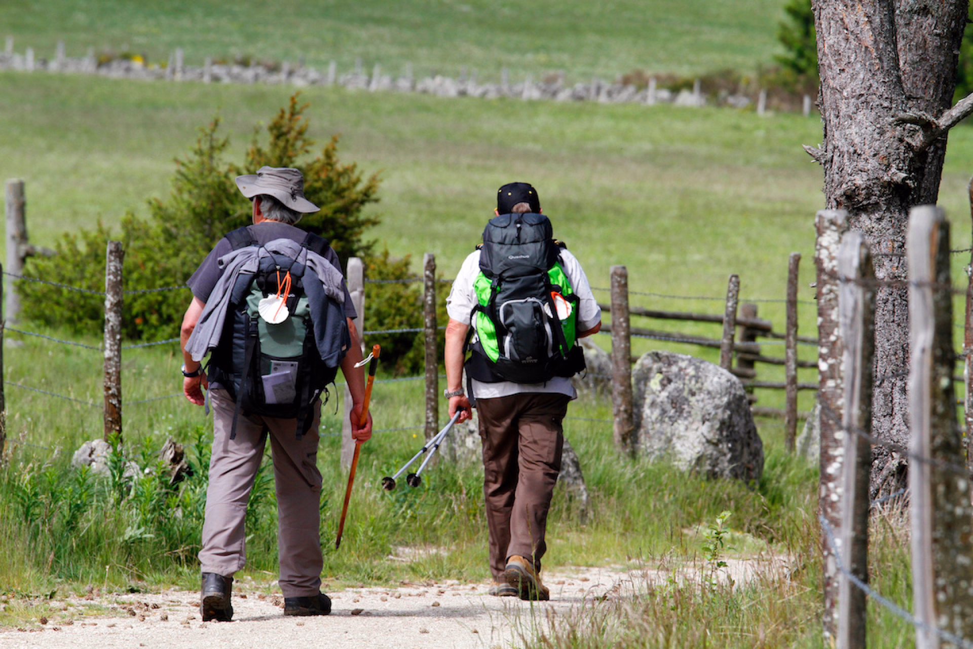 Randonneurs sur le chemin de Compostelle