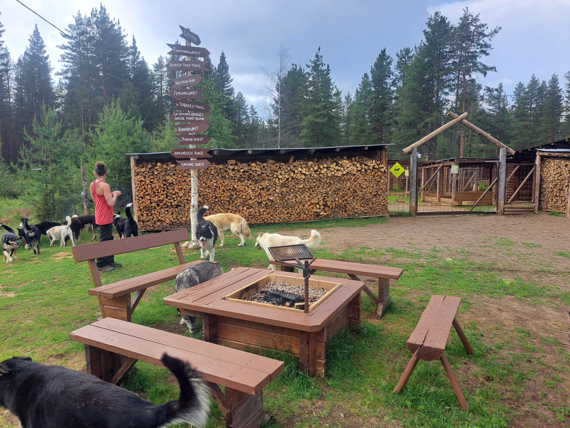 Immersion boréale entre cani-rando et bivouac en Laponie