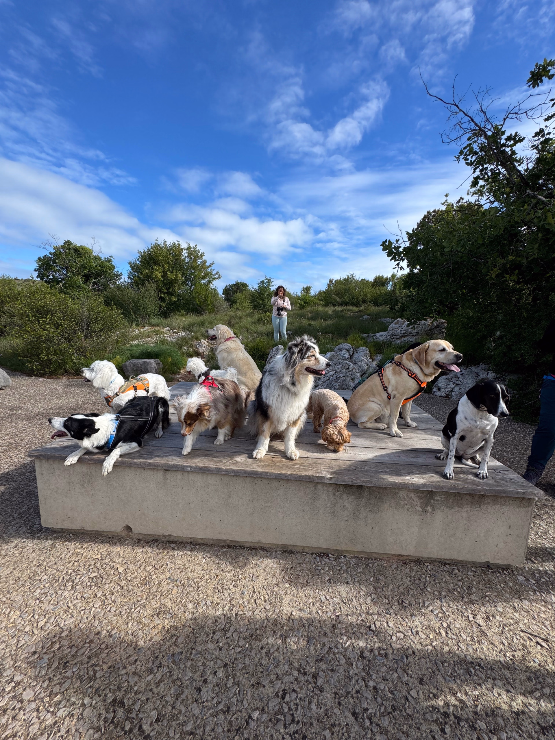 Séjour randonnée et doga dans le Gard avec votre chien