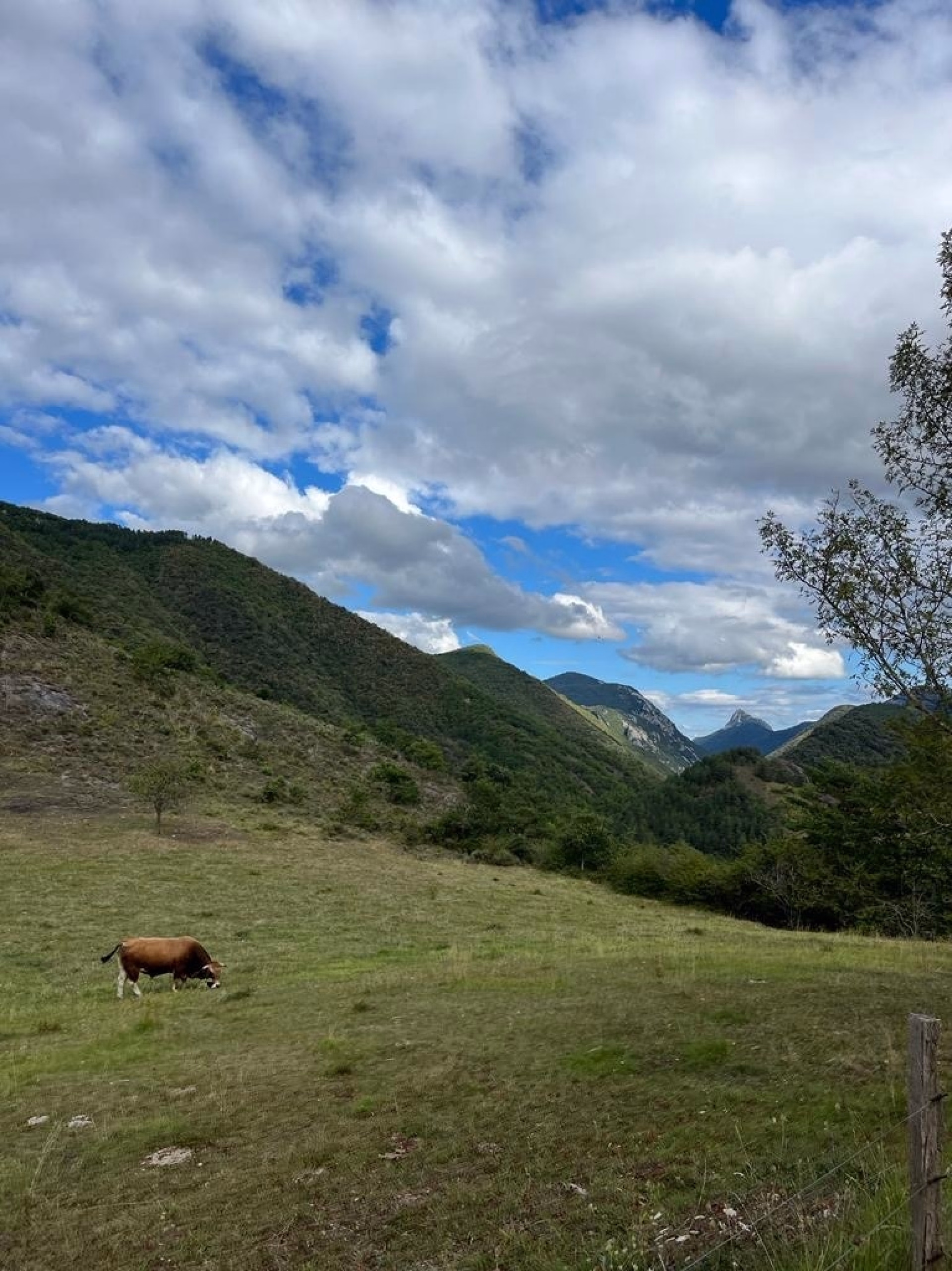 Rando équestre sur le Sentier Cathare pyrénéen