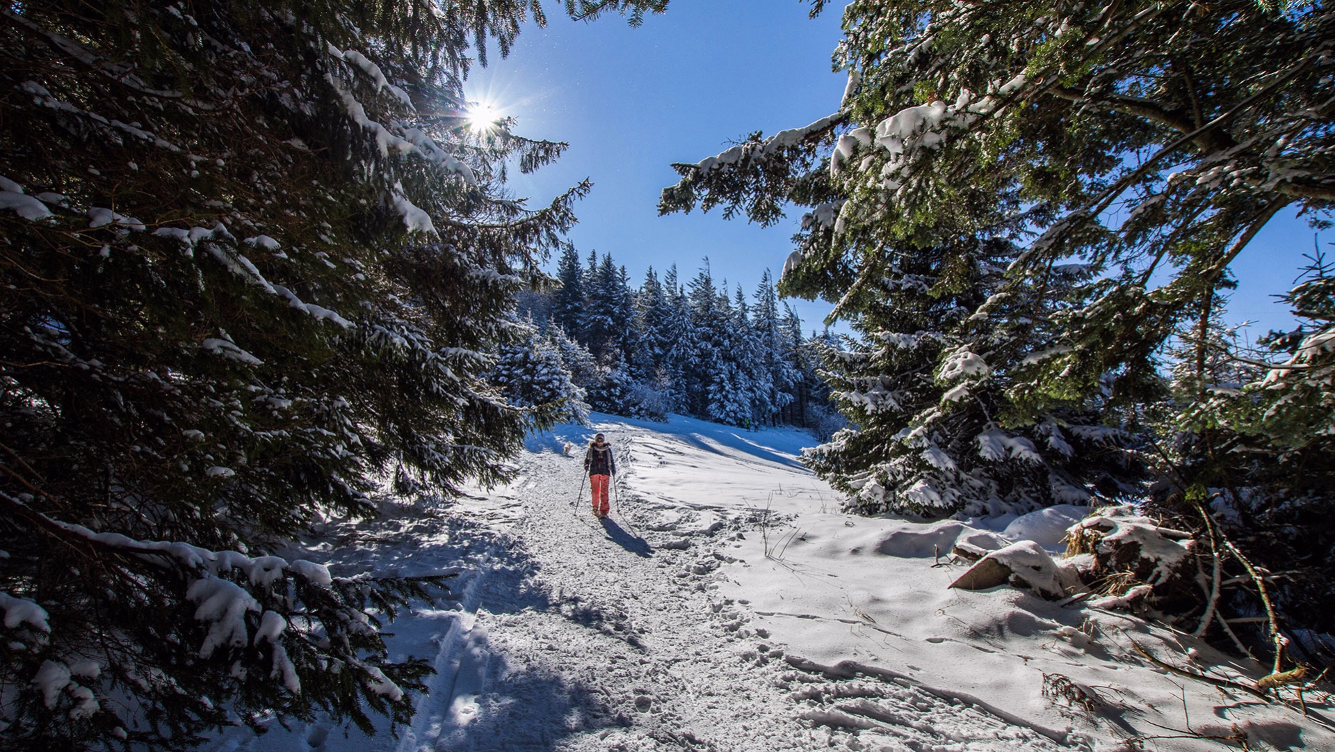 Lac Blanc : 6 jours dans les Vosges randonnées raquettes accompagnées