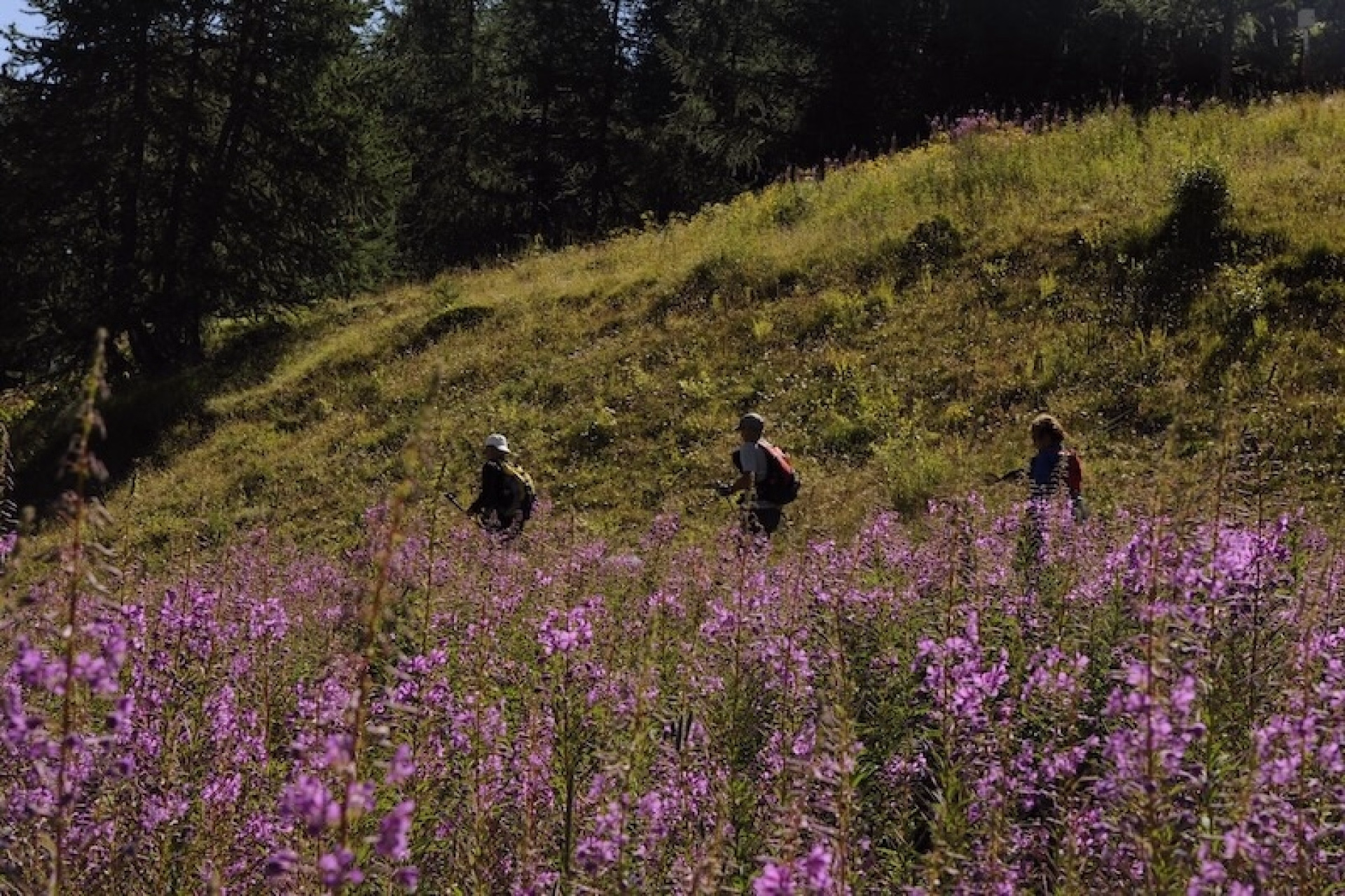 Stage trail 3 jours – 100% Féminin à Chamonix