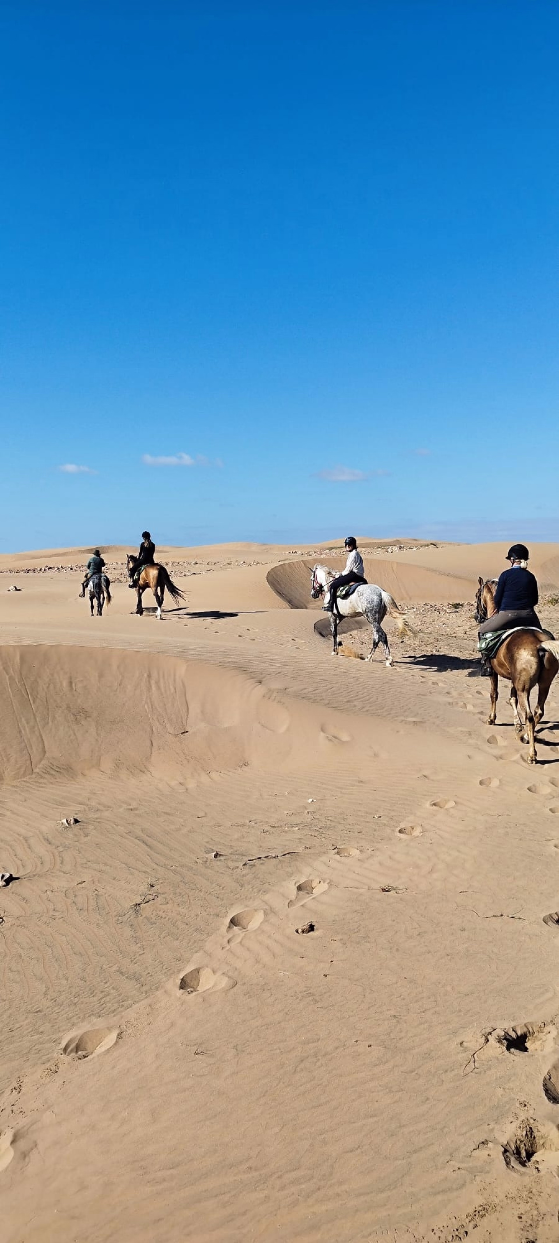 La Boucle d'Iftane - Randonnée équestre à Essaouira