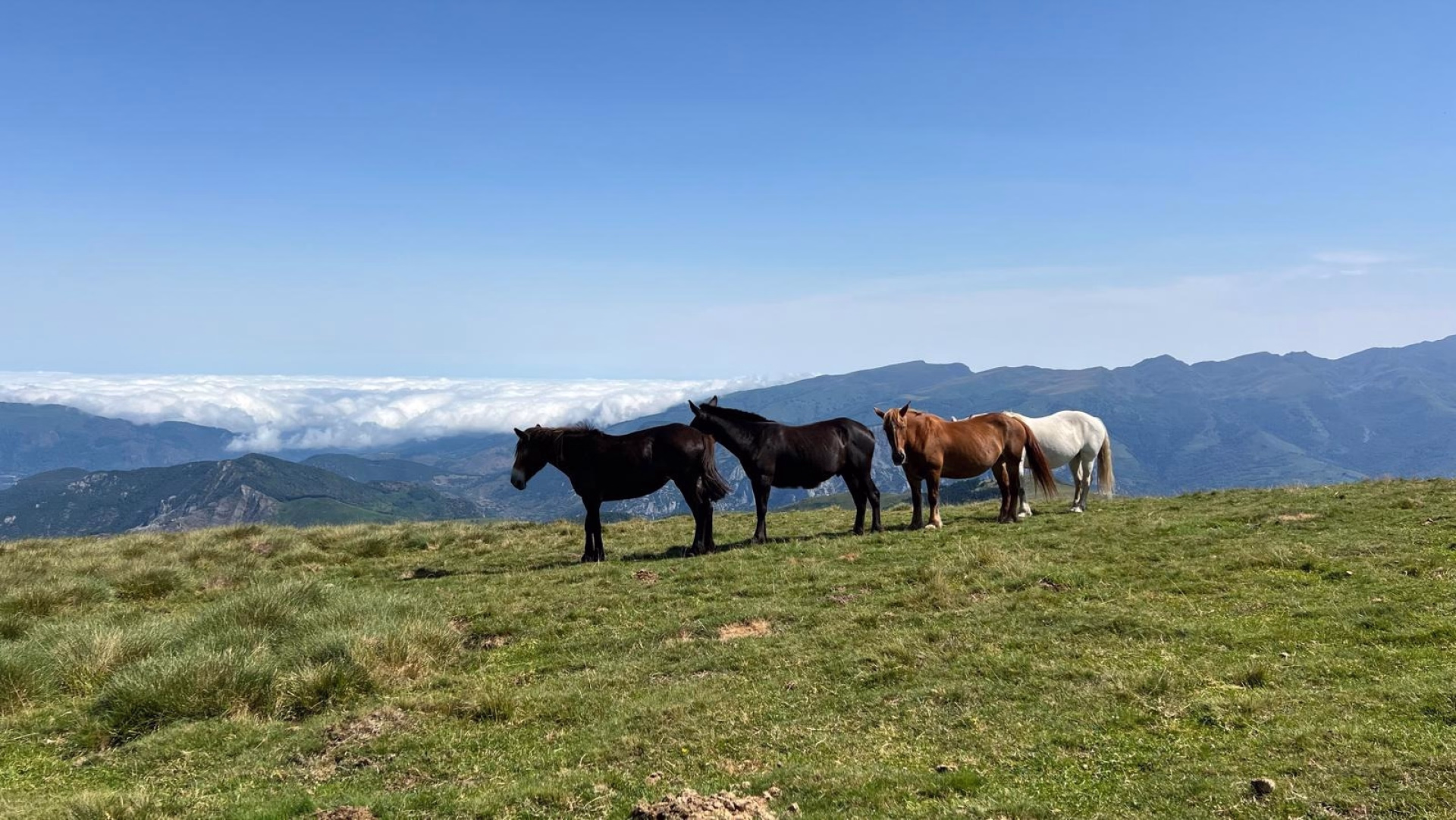 GR10 étape 6 : Aulus-les-Bains à Mérens-les-Vals