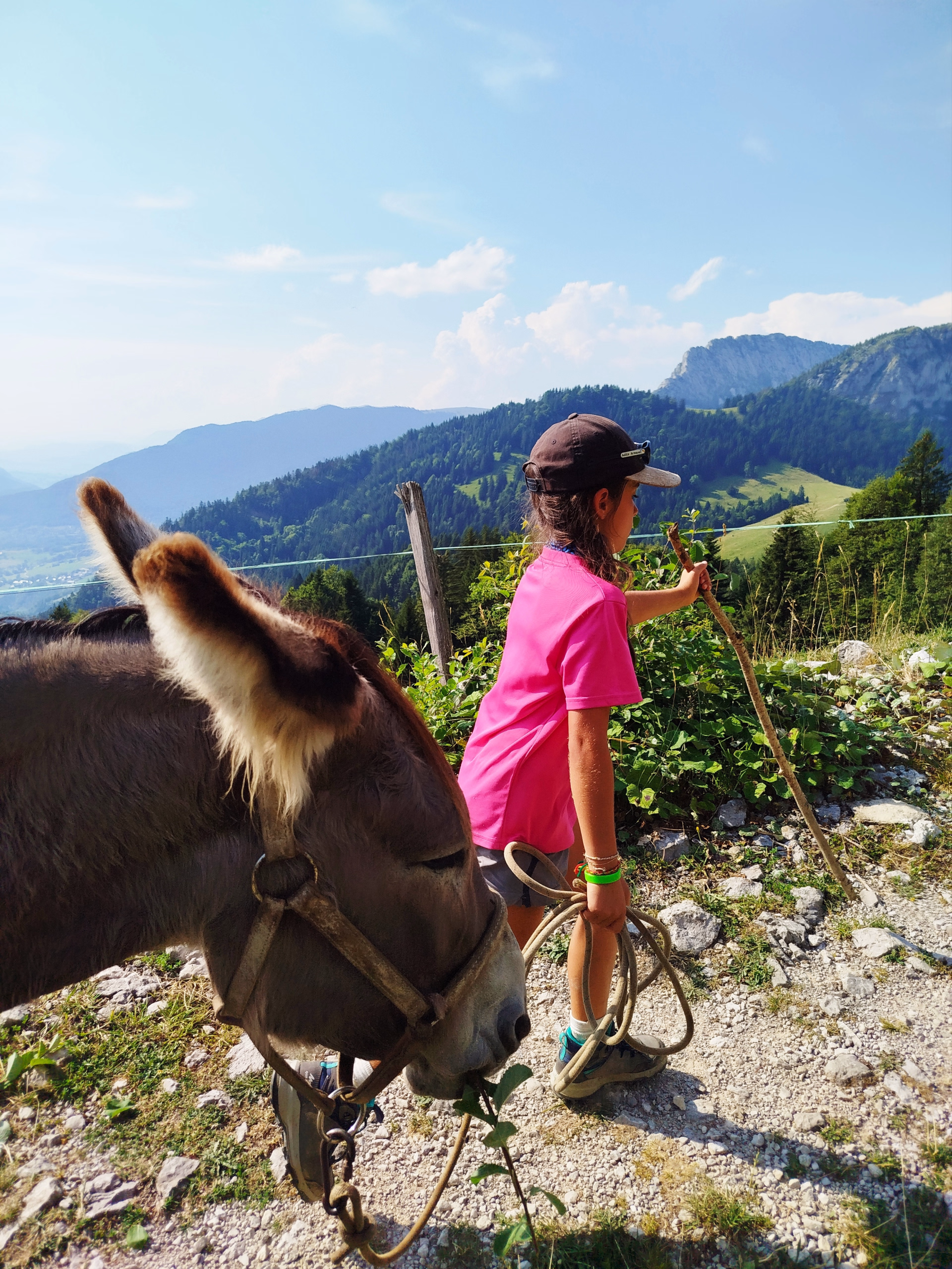 Traversée des plateaux avec les ânes