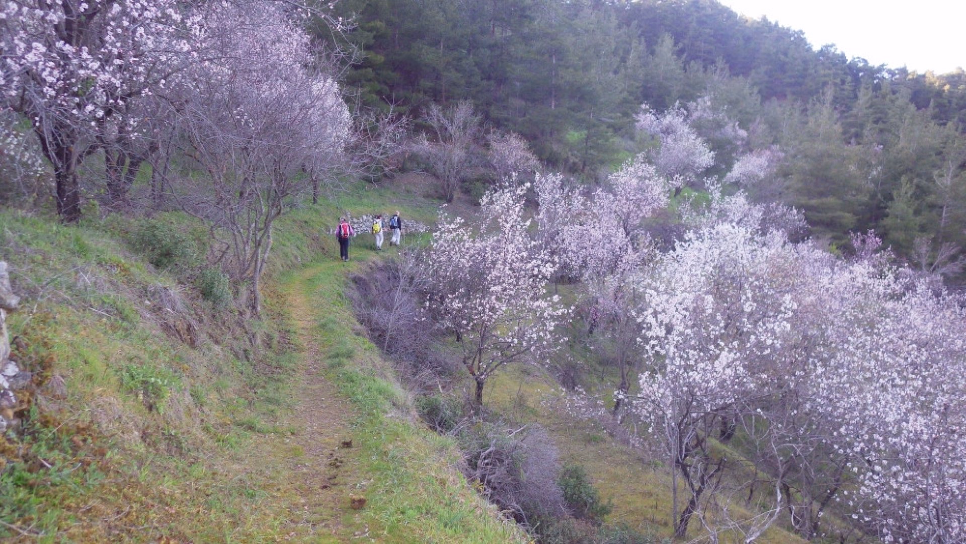 Circuit autonome Troodos suprême