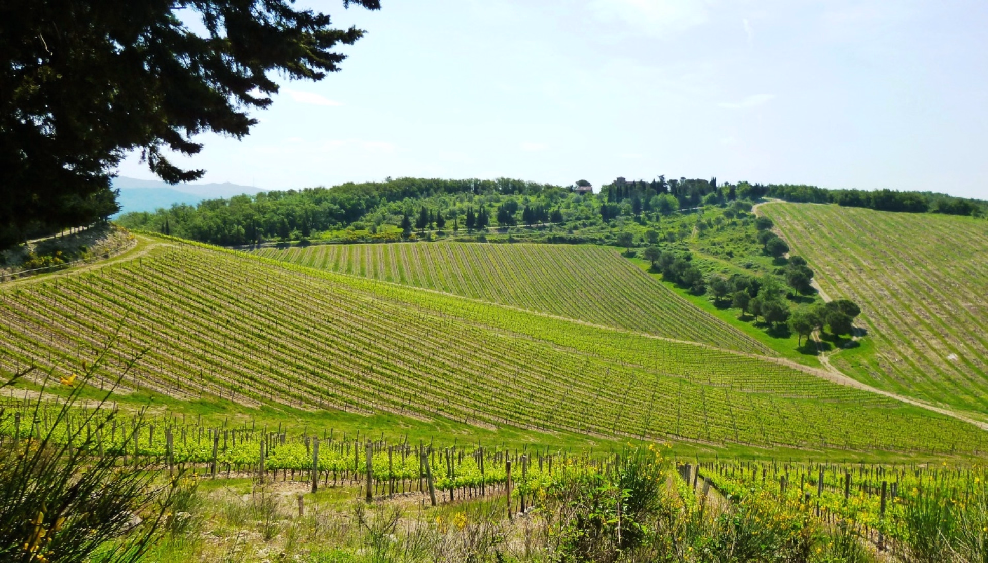 Le Chianti : la Toscane de Florence à Sienne