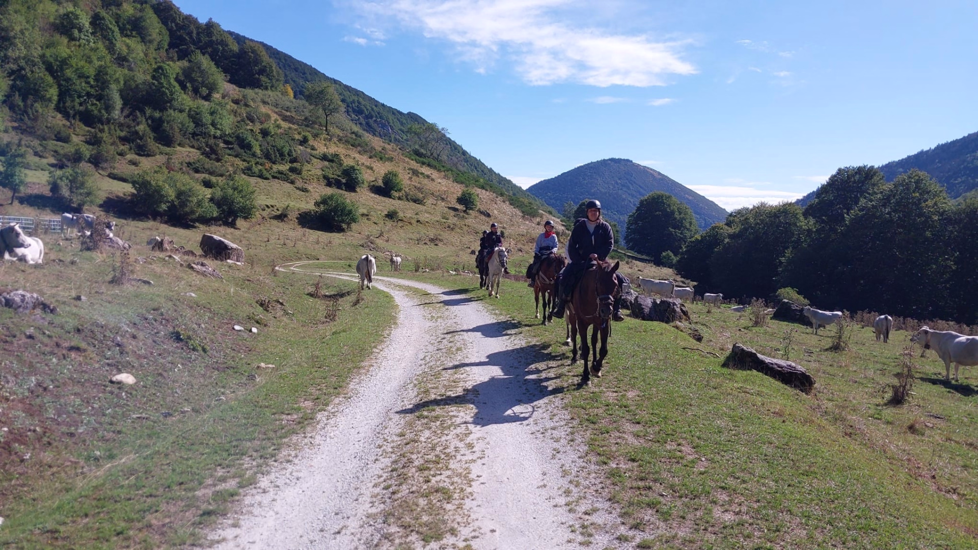 Itinérance à cheval vers Montségur dans les Pyrénées ariégeoises