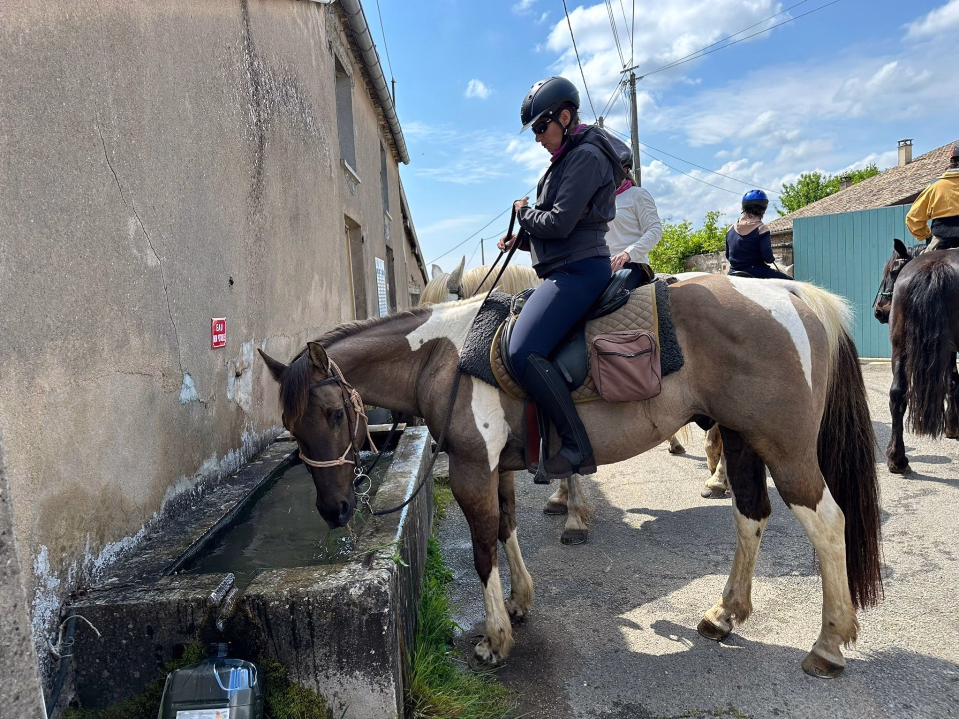 Reiten durch Weinberge und Geschichte, von Burgund bis Beaujolais