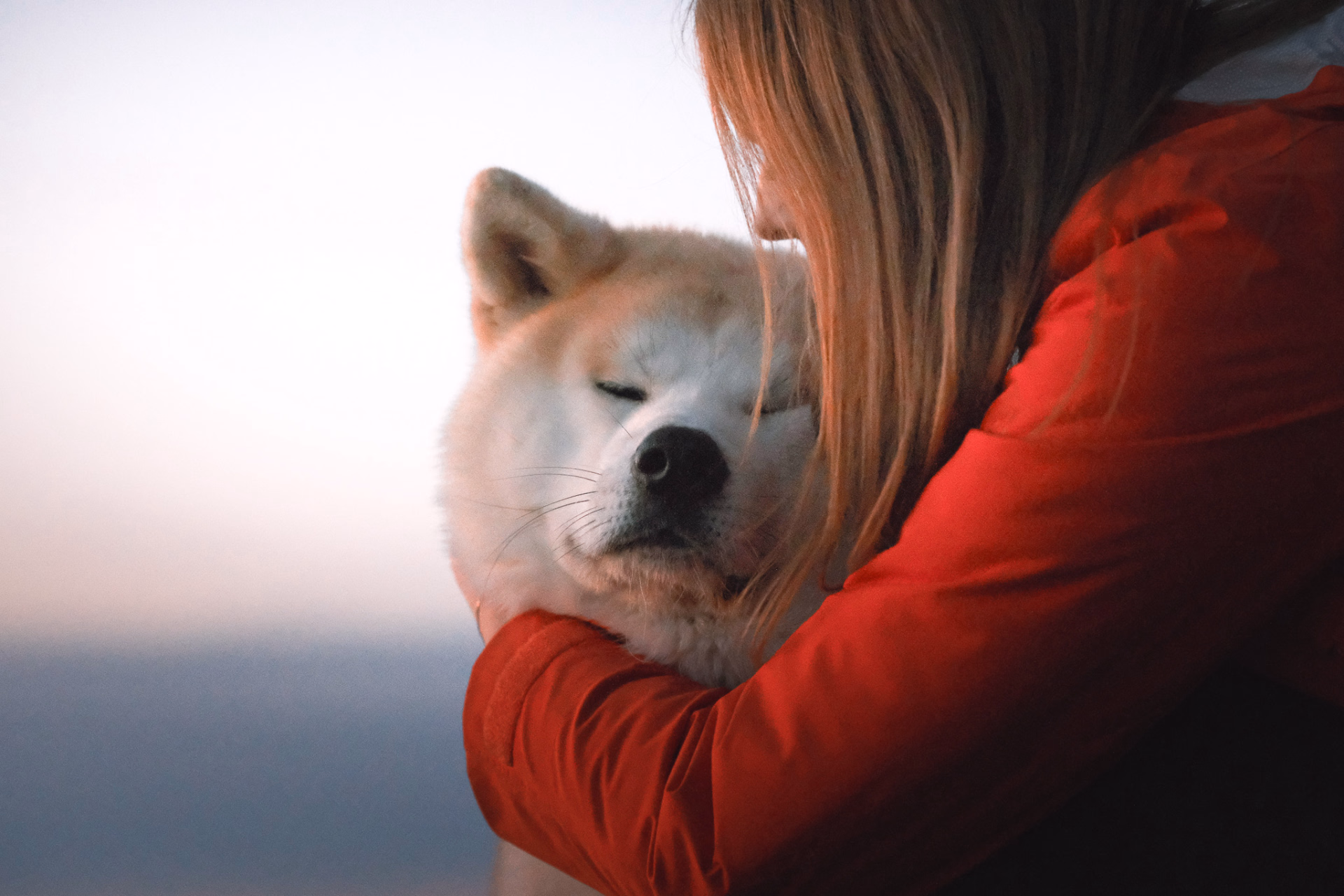 Photo voyage avec son chien © Photo voyage avec son chien