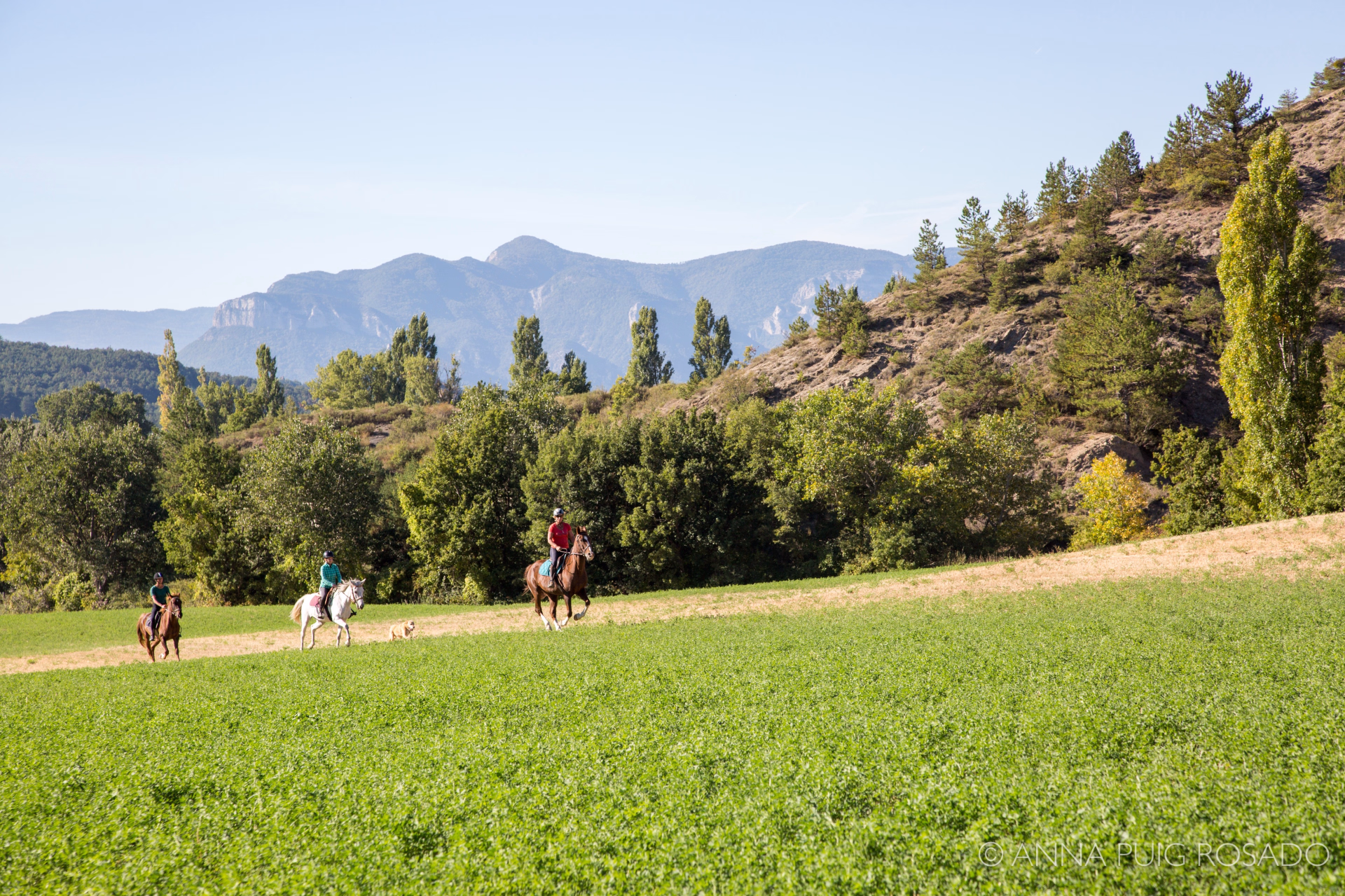 Les Baronnies provençales à cheval